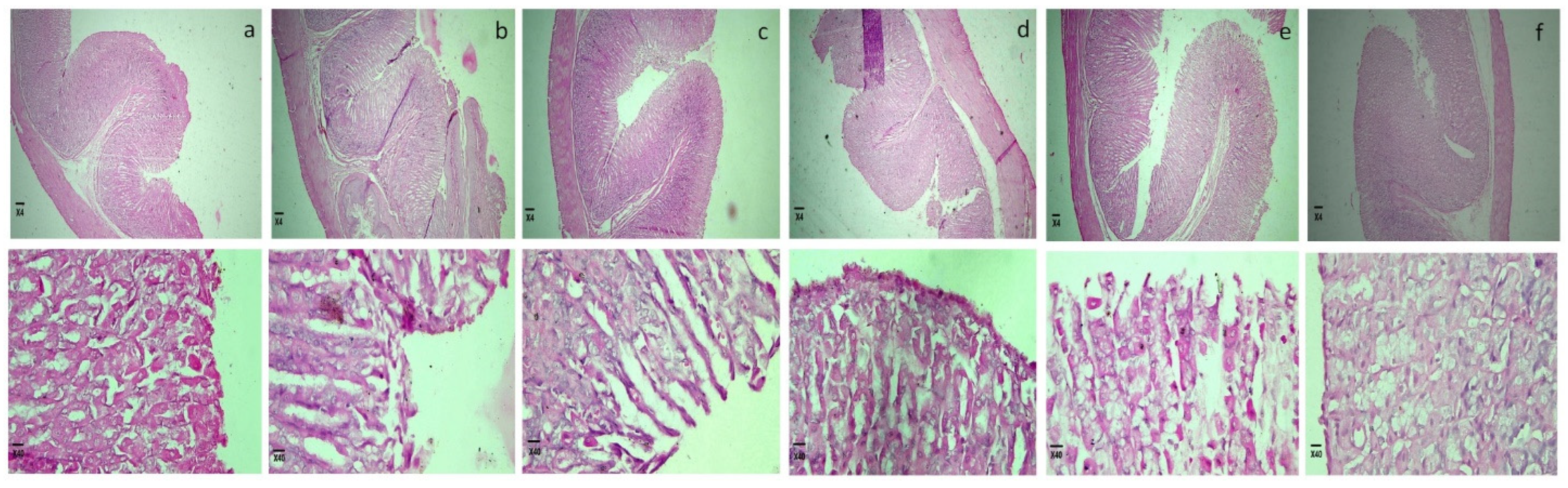 Pharmaceuticals 15 00856 g009 Pharmaceuticals 15 00856 g009