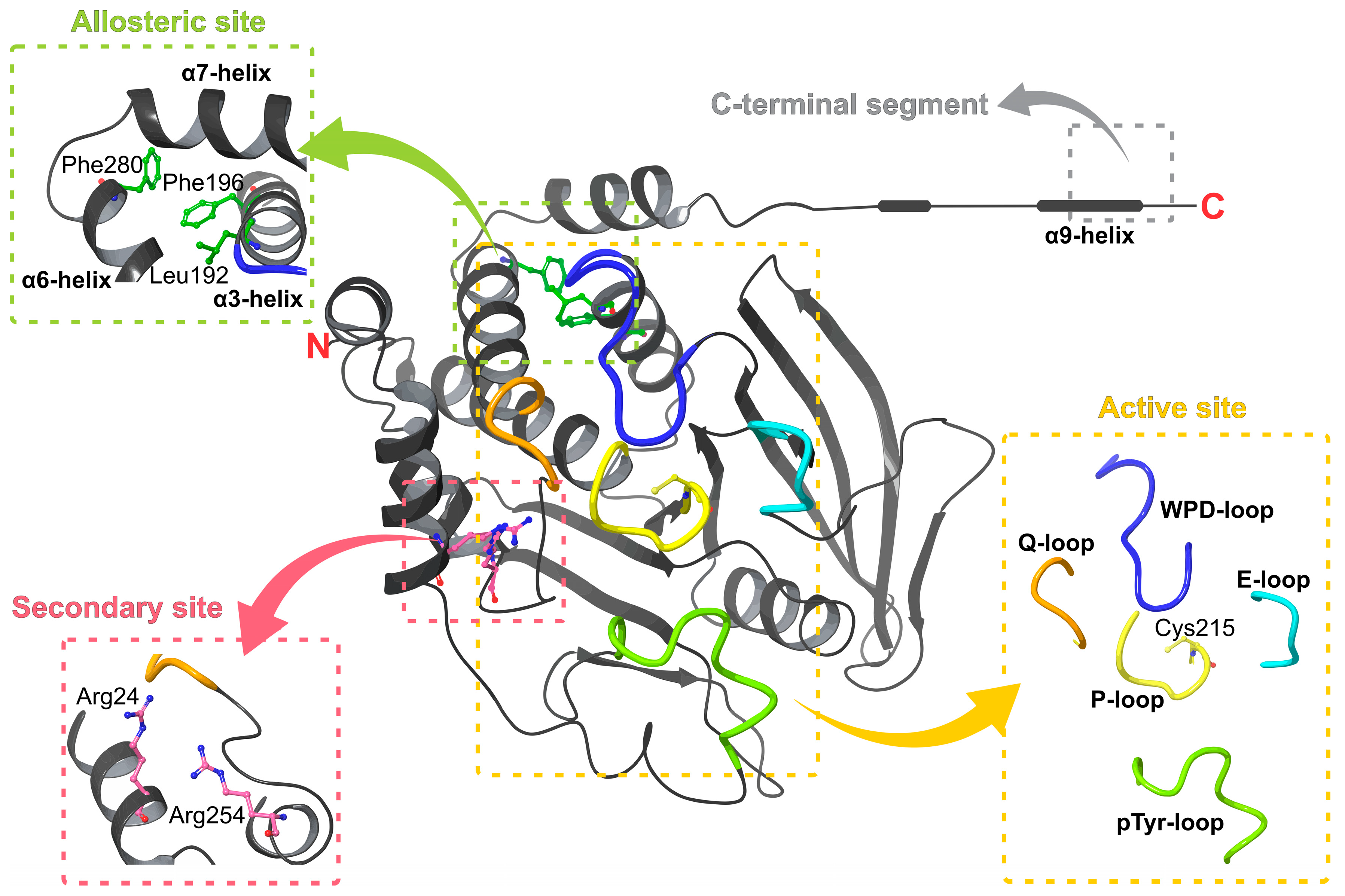 Pharmaceuticals 15 00866 g002