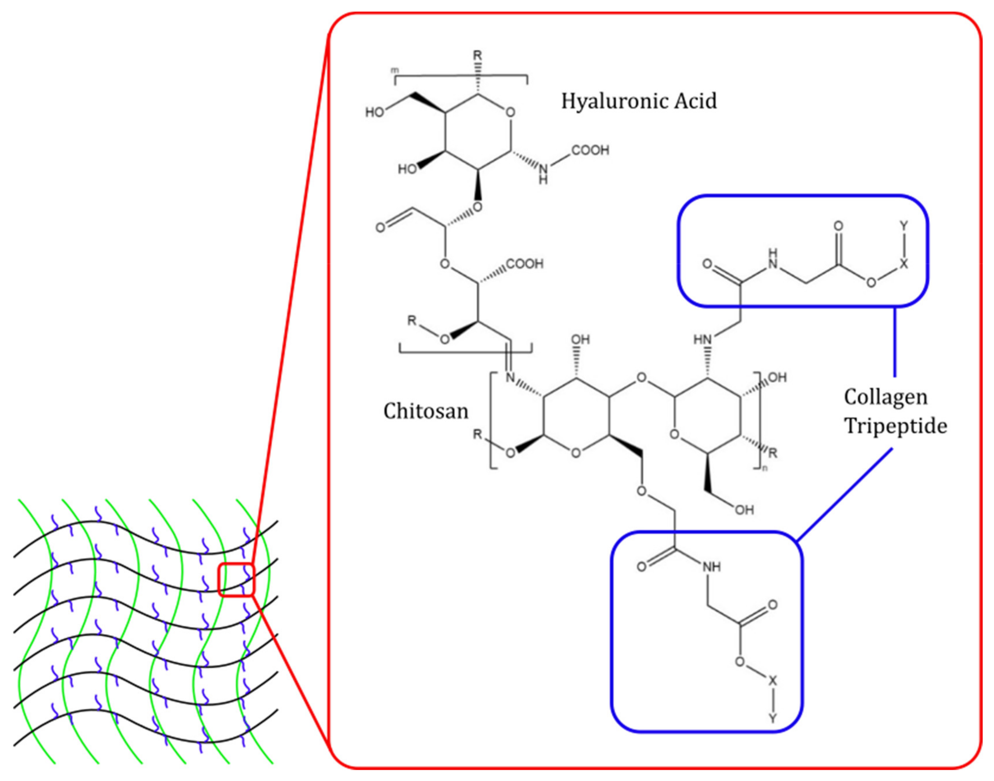 Pharmaceuticals 15 00867 g003