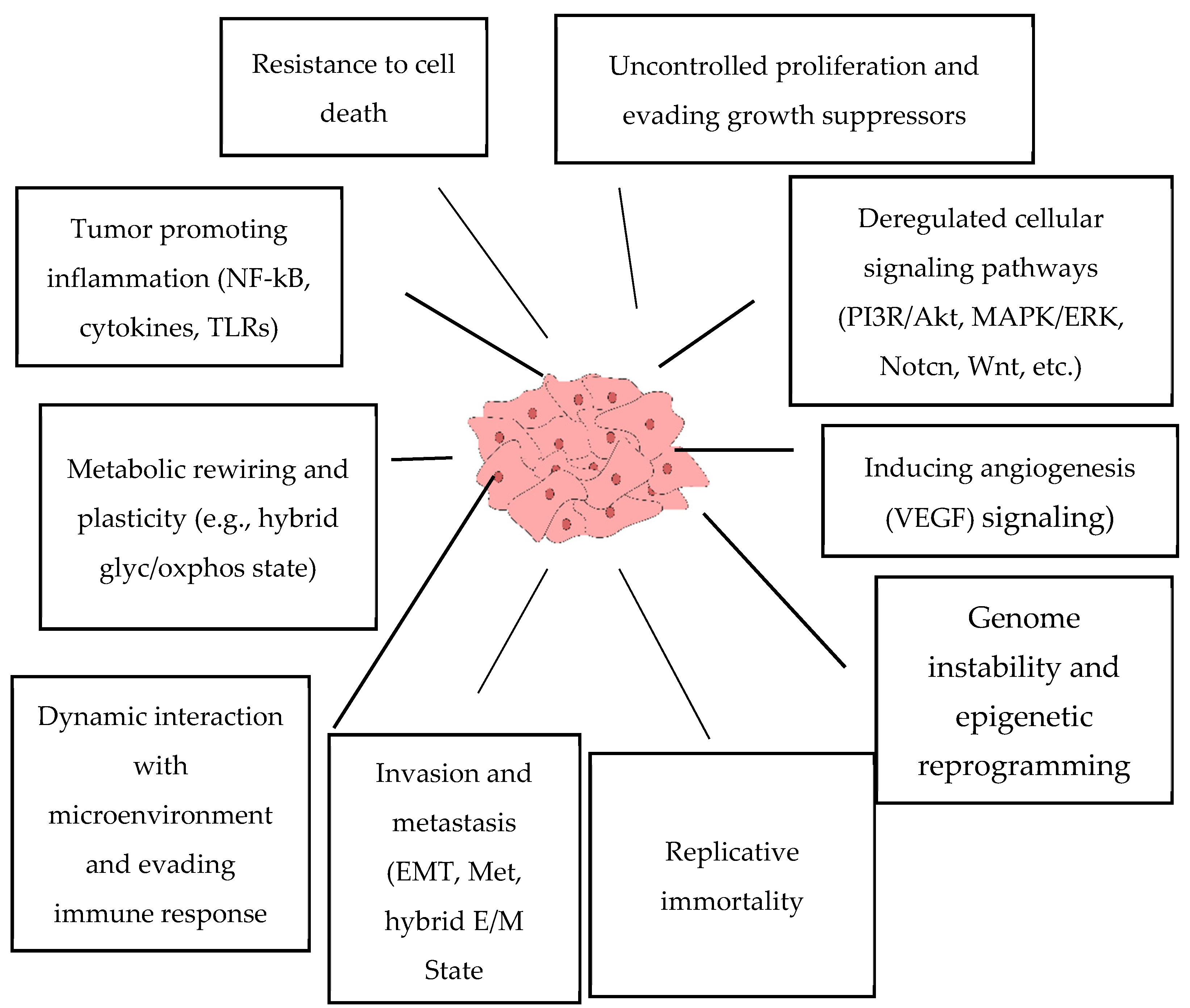 How Should the Worldwide Knowledge of Traditional Cancer