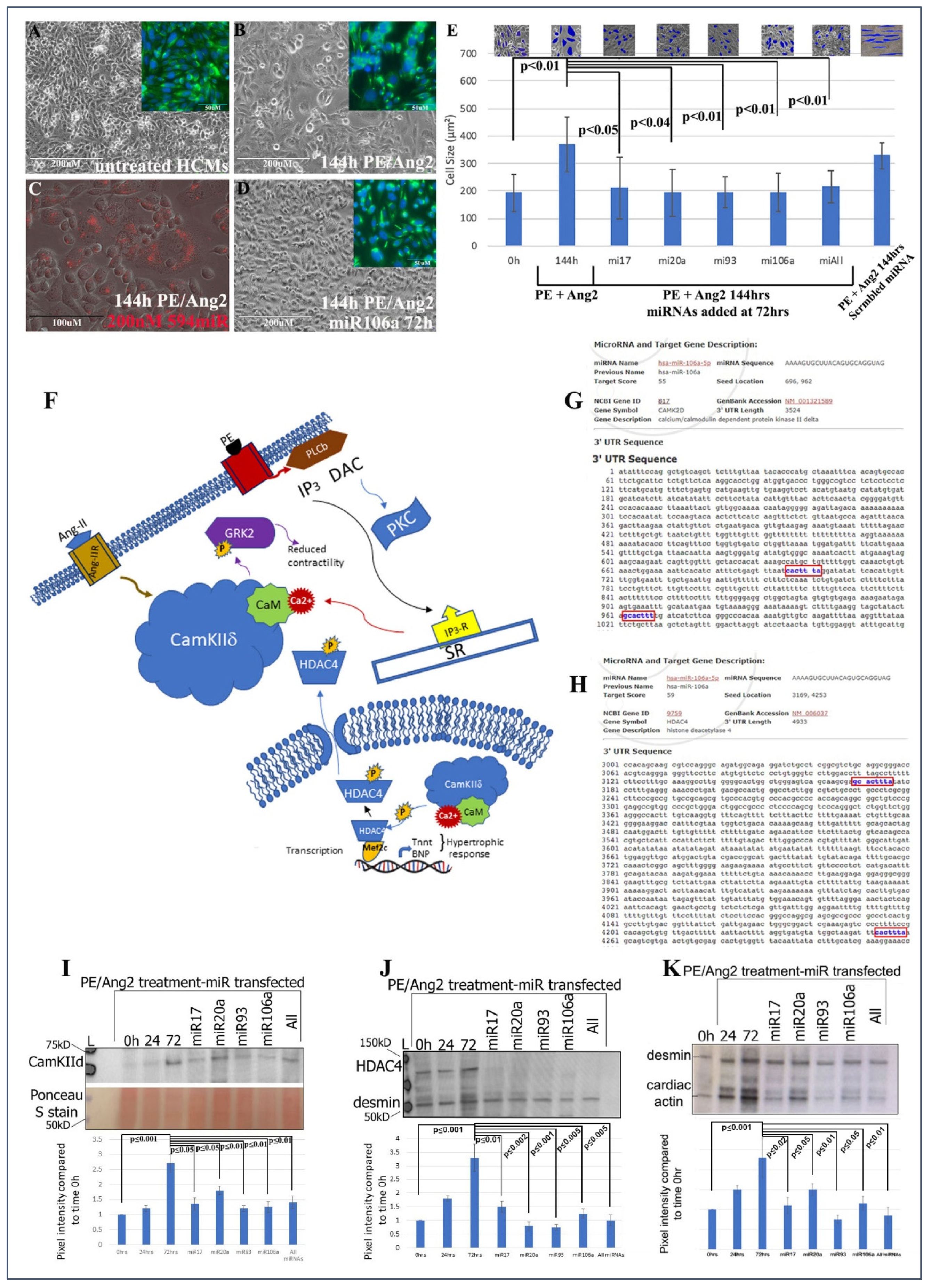 Pharmaceuticals 15 00871 g001 550