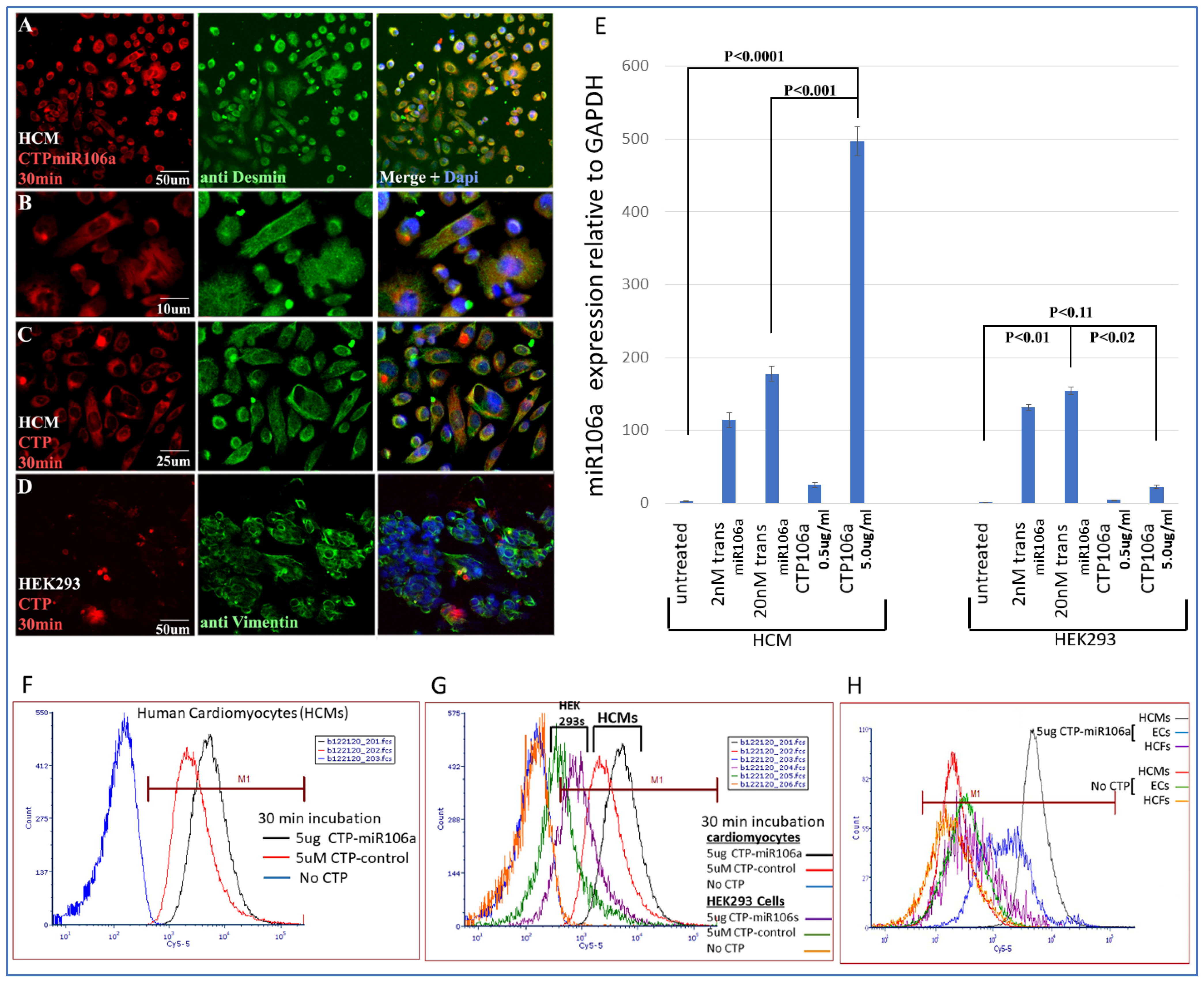 Pharmaceuticals 15 00871 g003 550