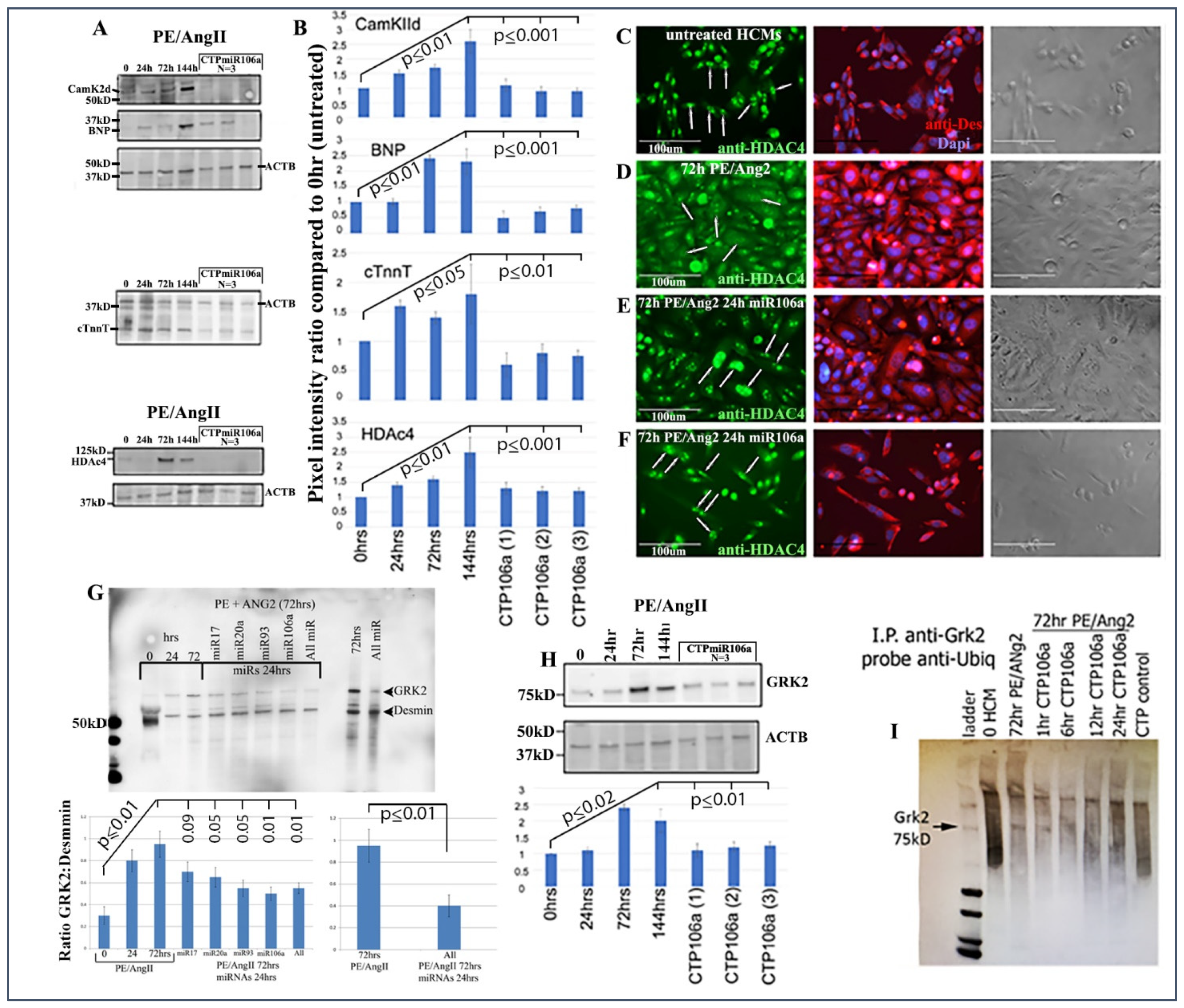 Pharmaceuticals 15 00871 g004 550