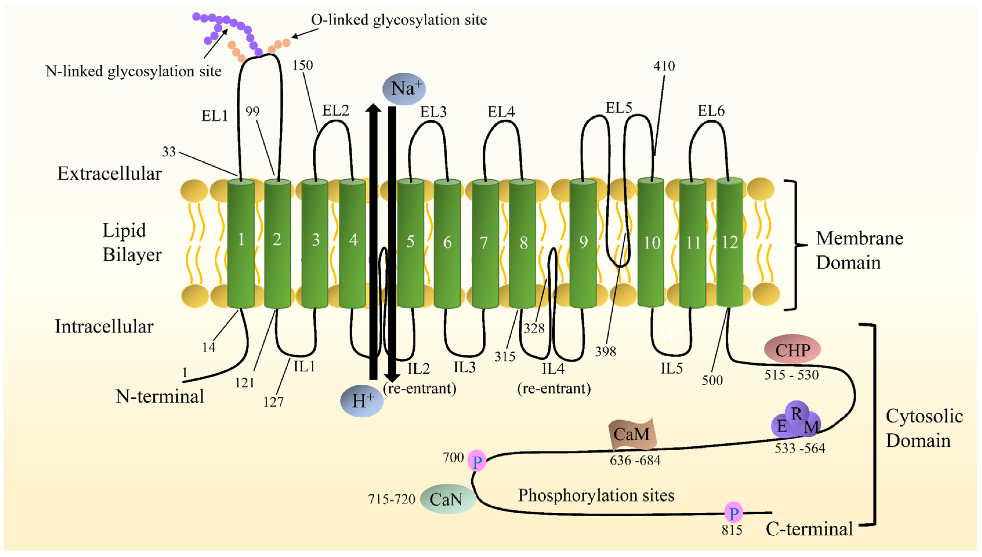 Pharmaceuticals 15 00875 g001