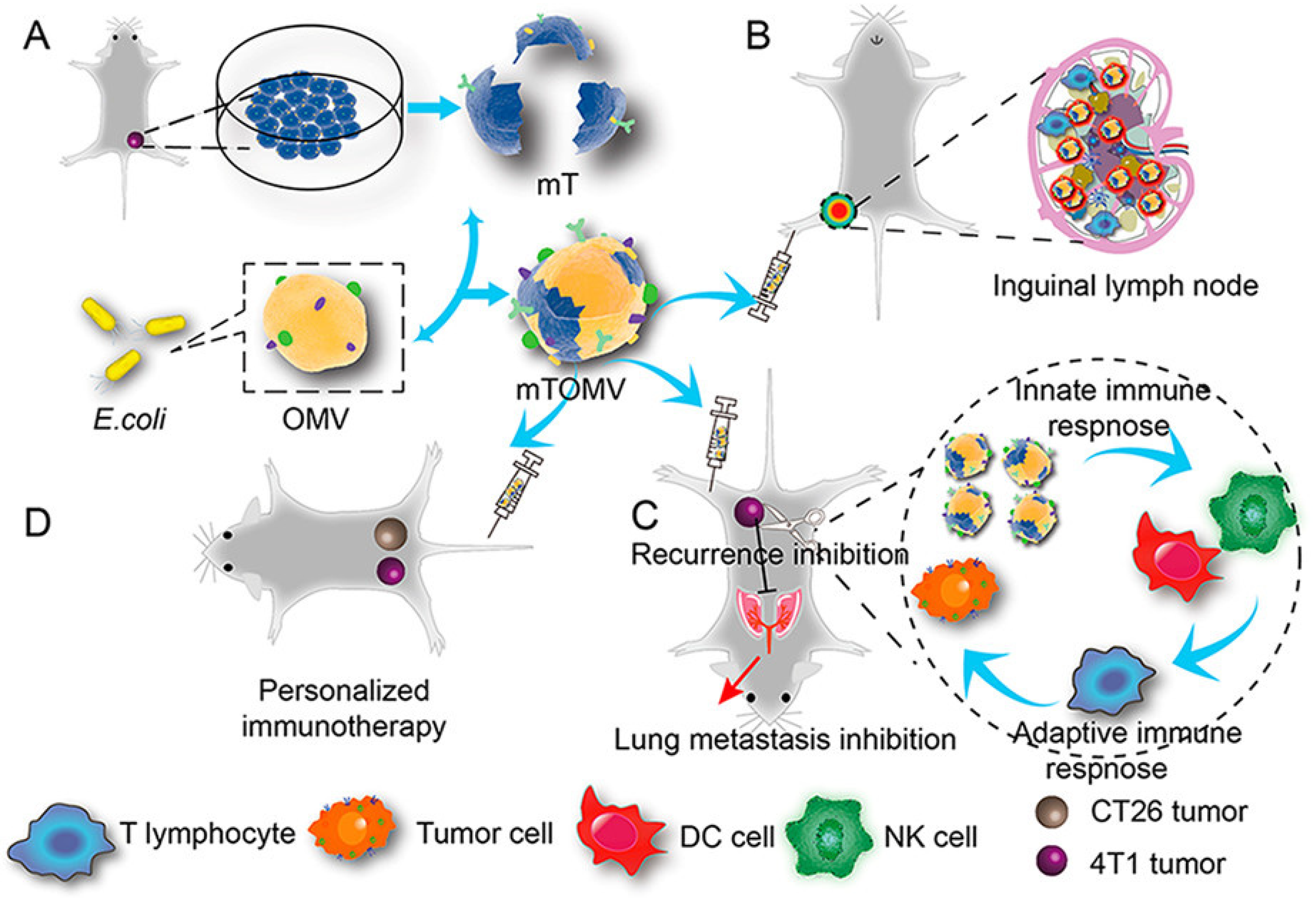 Pharmaceuticals 15 00876 g003 550