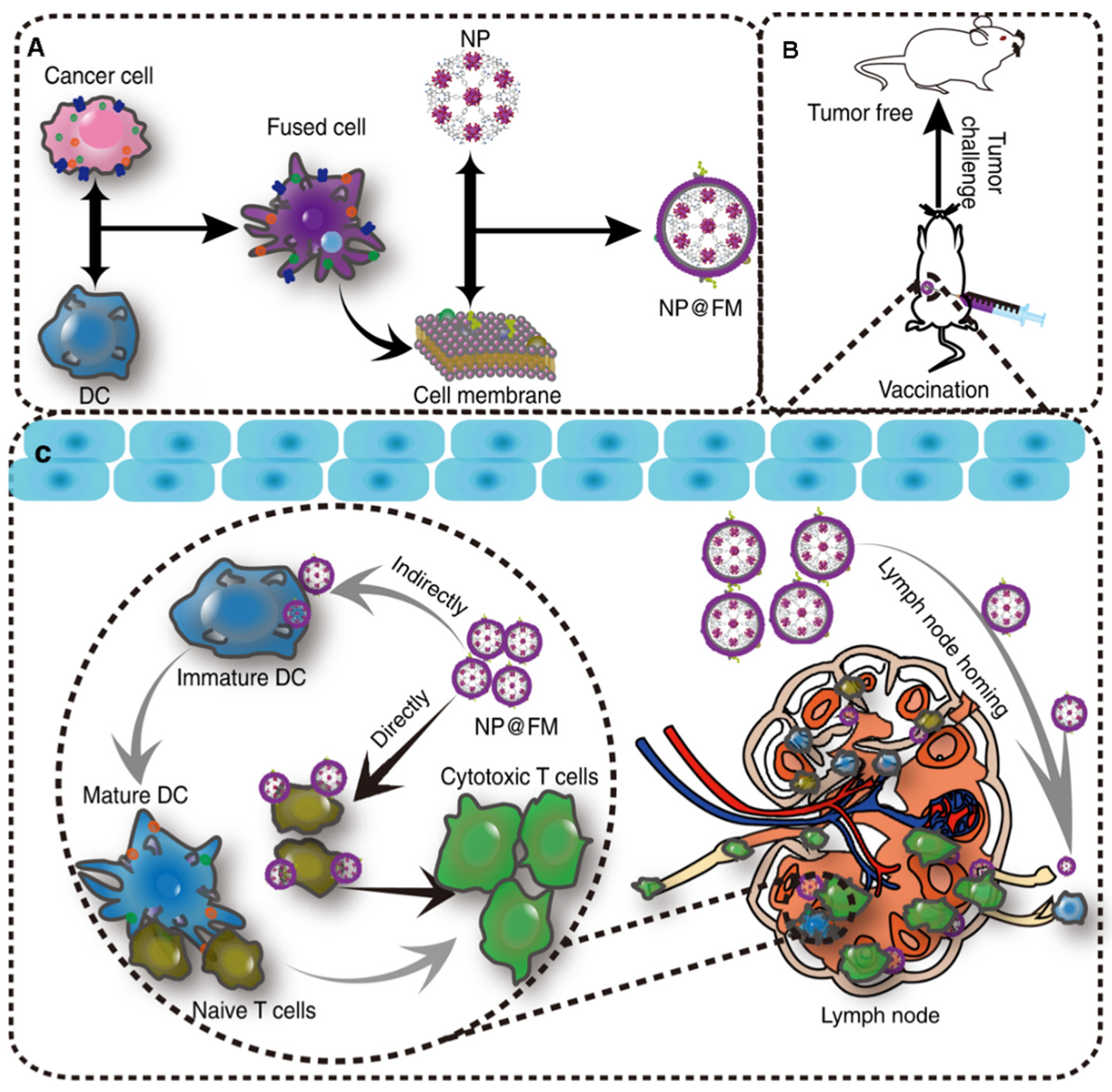 Pharmaceuticals 15 00876 g005 550
