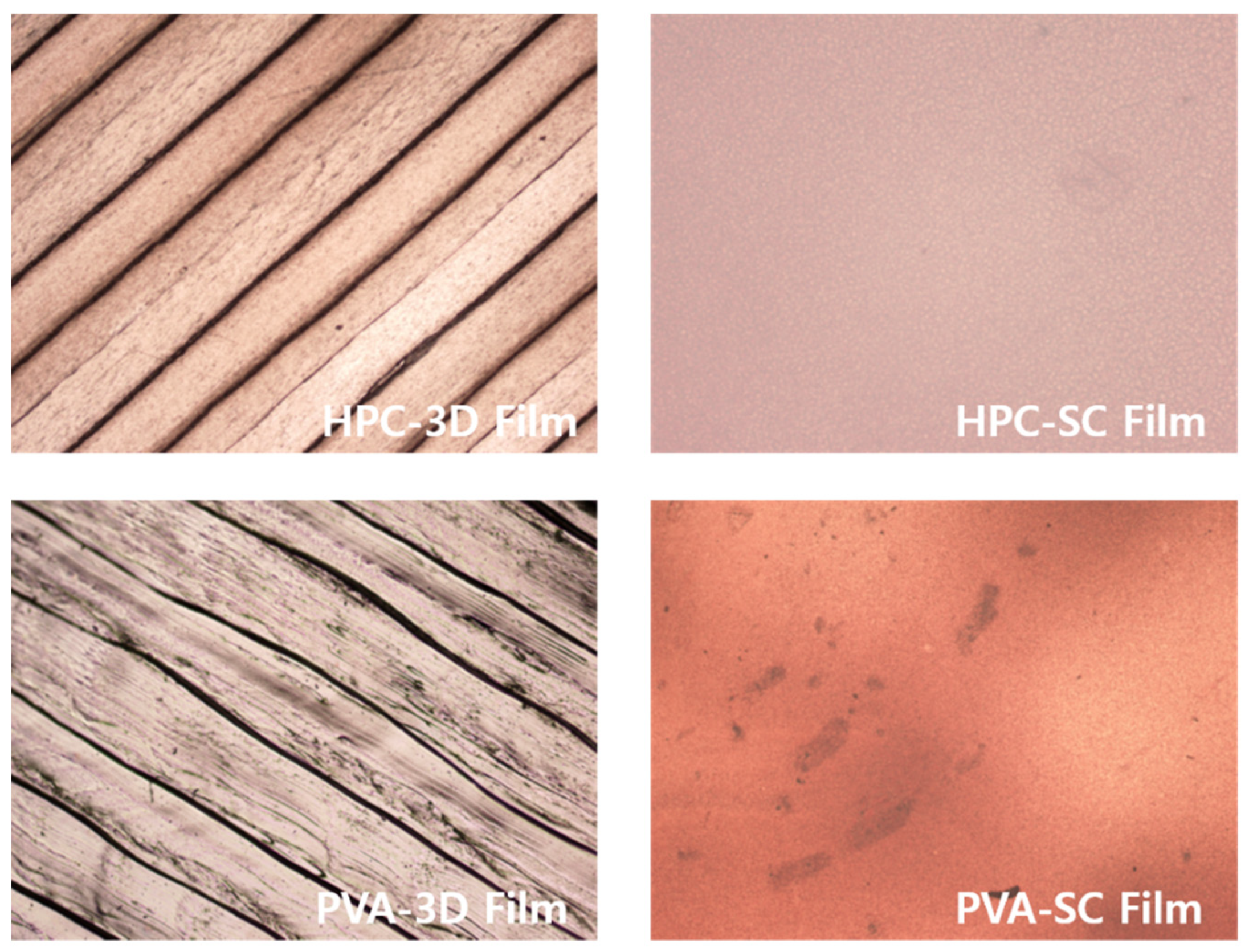 Pharmaceuticals 15 00895 g006