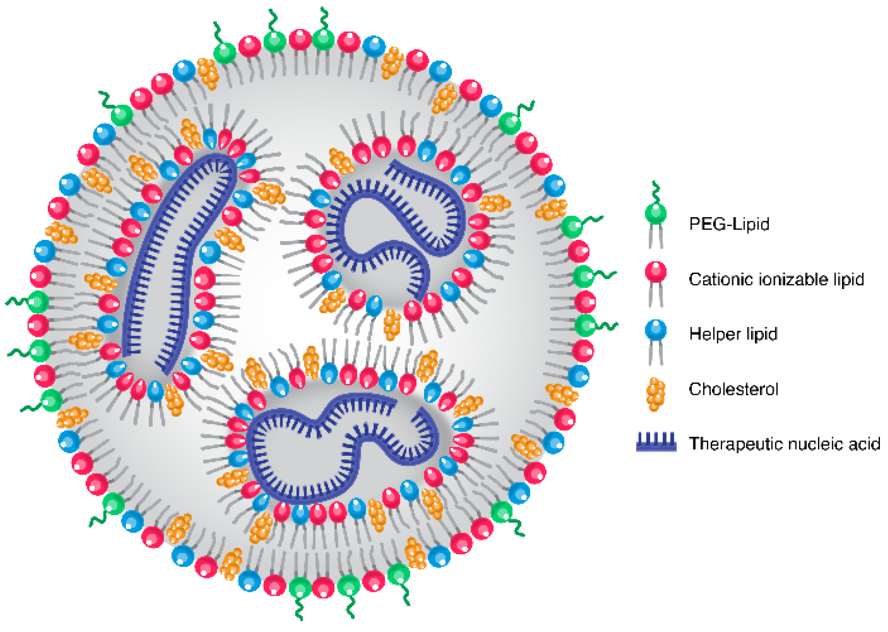 Drug Delivery Products :: Phospholipids and Lipids for LNP and