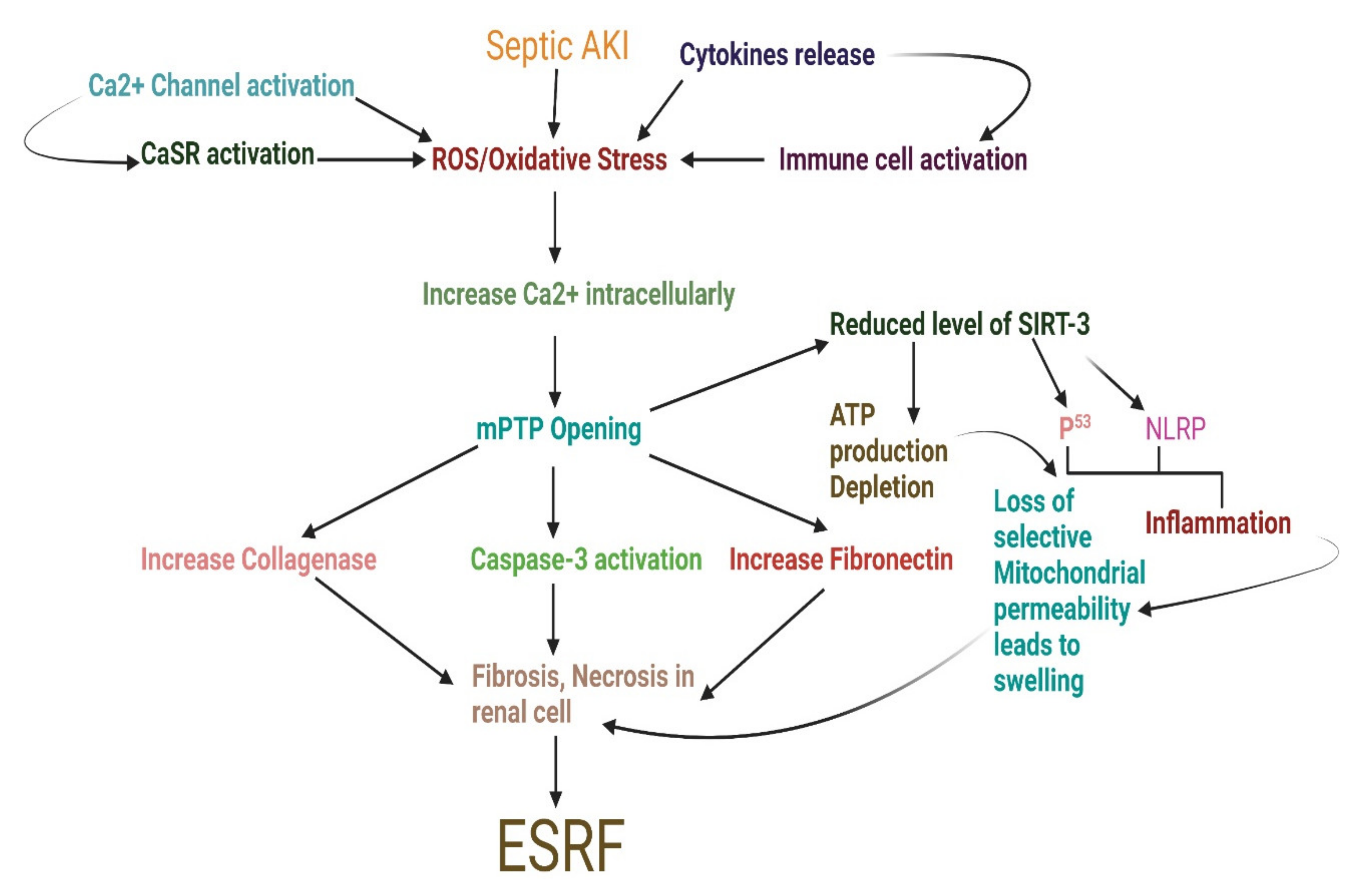 Pharmaceuticals 15 00899 g002 Pharmaceuticals 15 00899 g002