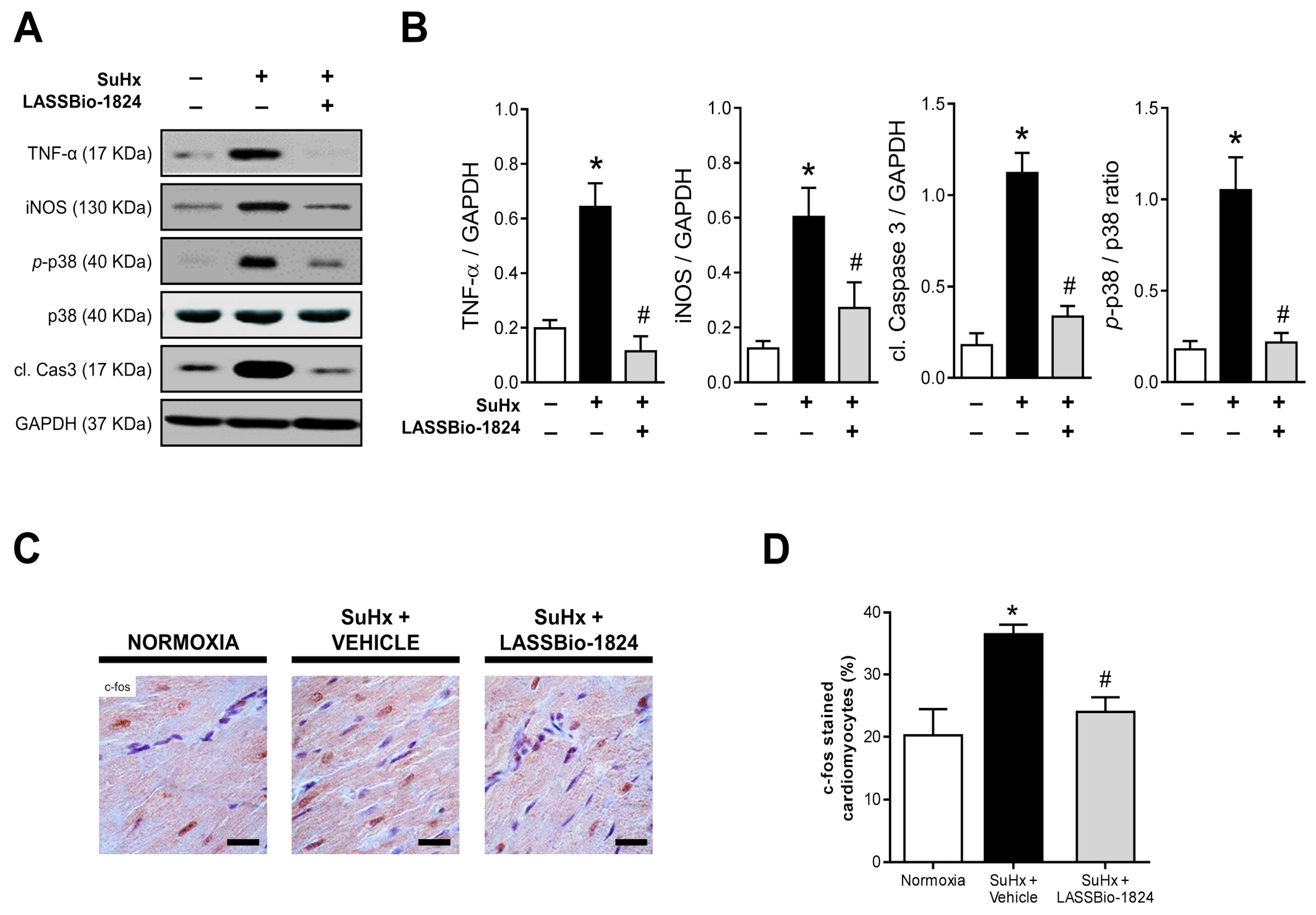 Pharmaceuticals 15 00900 g006