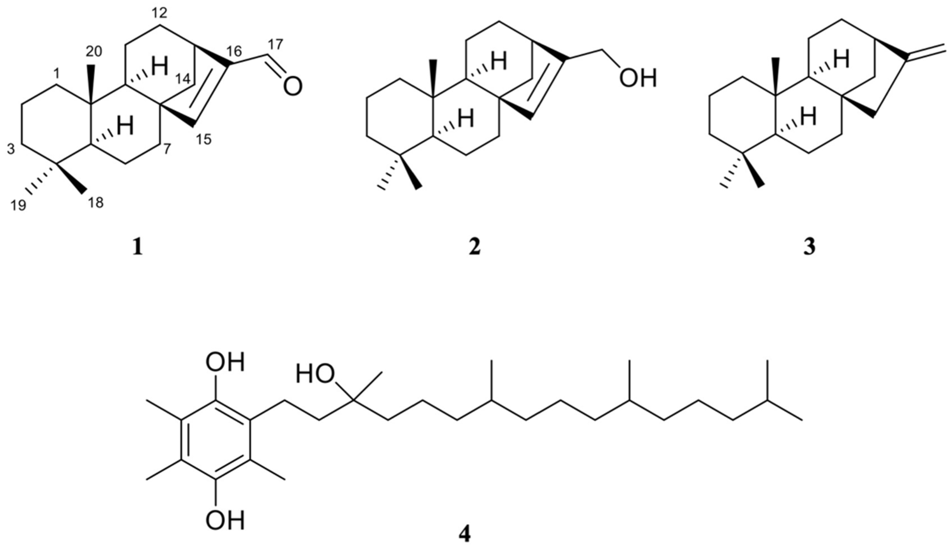 Pharmaceuticals 15 00902 g001