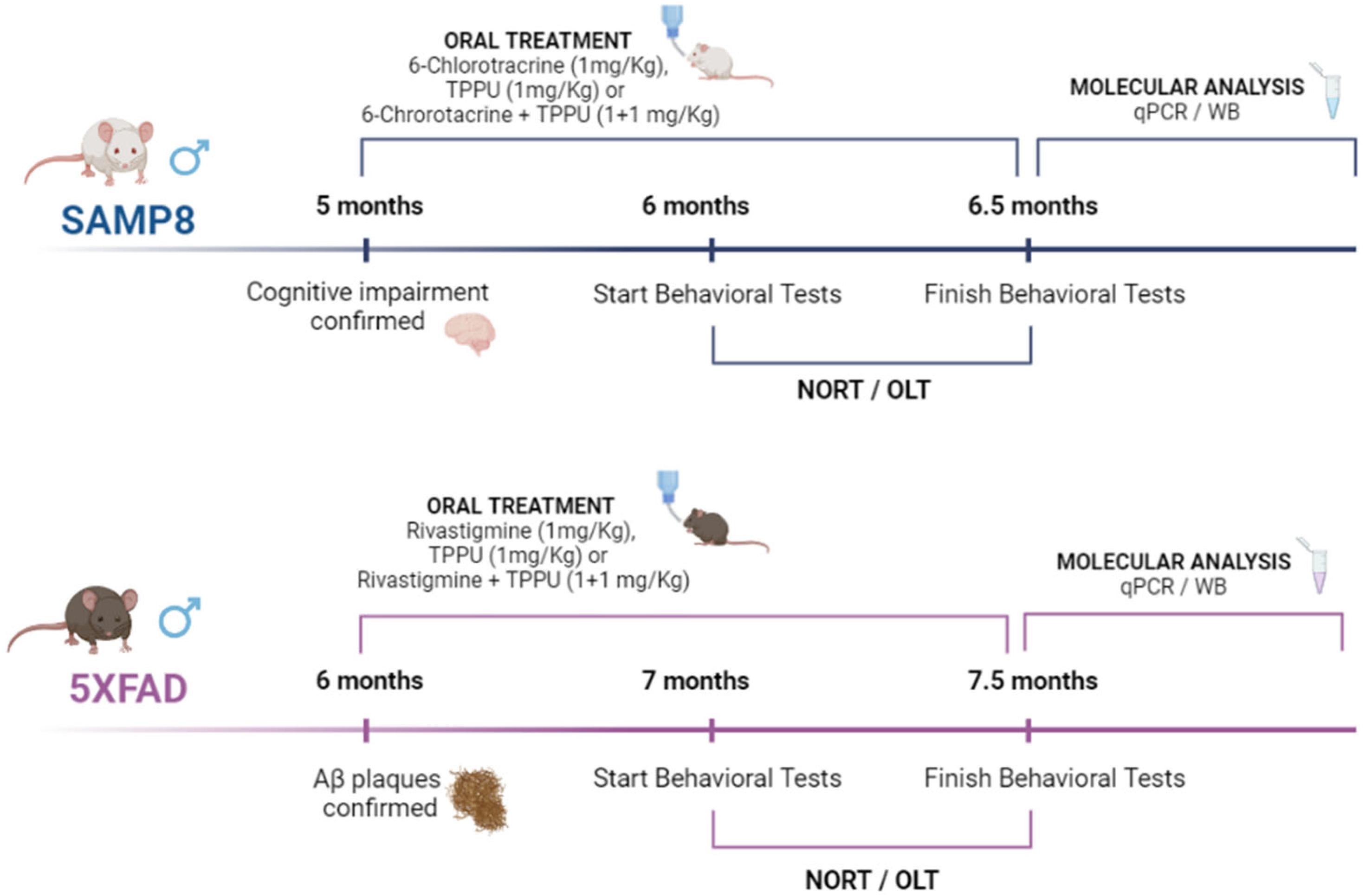 Pharmaceuticals 15 00908 g007