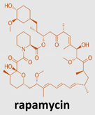 Pharmaceuticals 15 00912 i002 Pharmaceuticals 15 00912 i002