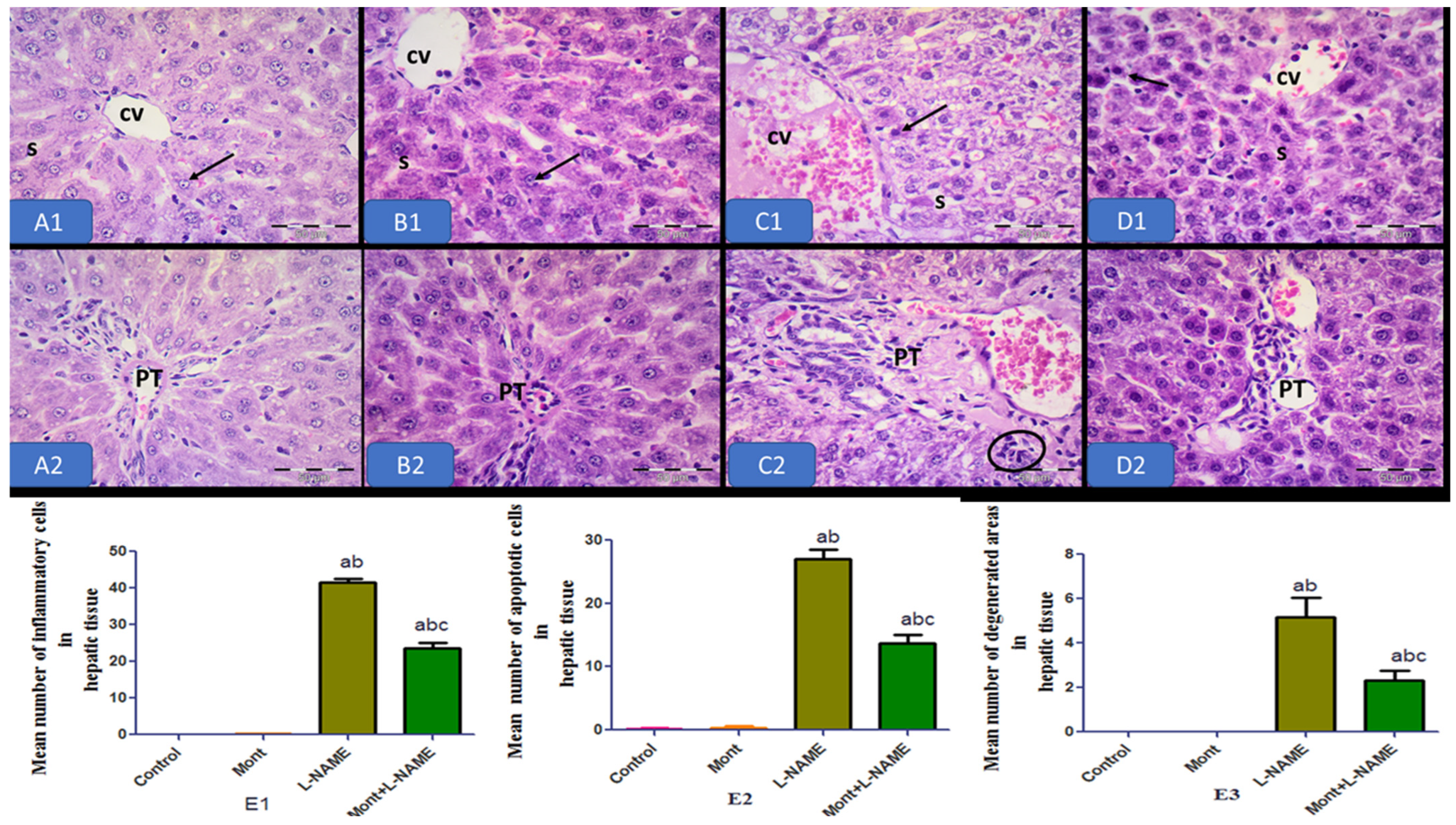 Pharmaceuticals 15 00914 g007 550