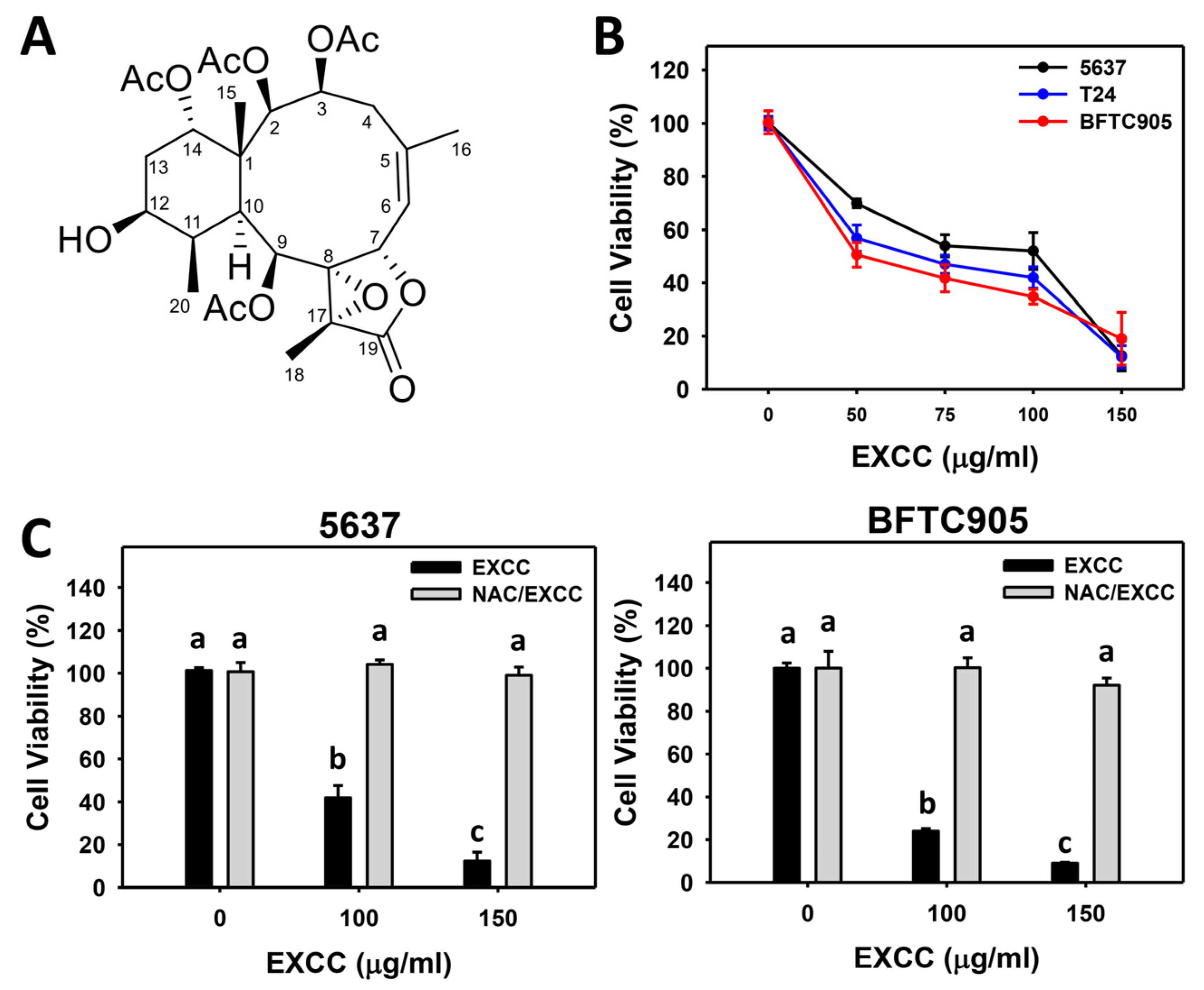 Pharmaceuticals 15 00917 g001
