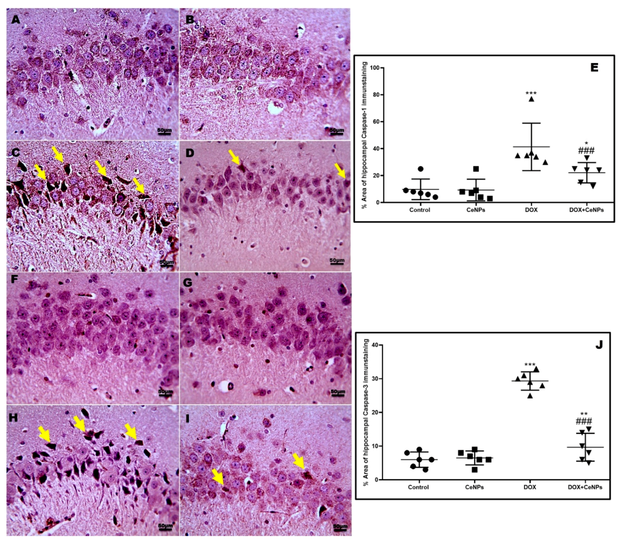 Pharmaceuticals 15 00918 g009 Pharmaceuticals 15 00918 g009
