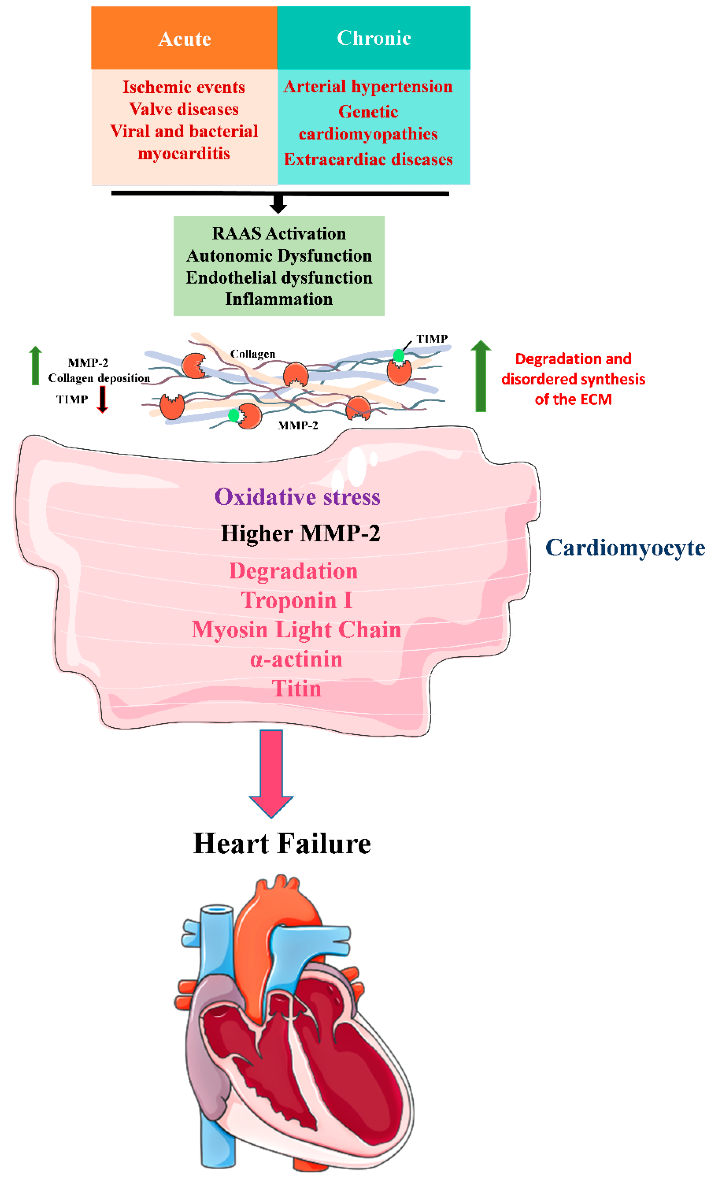 Pharmaceuticals 15 00920 g001