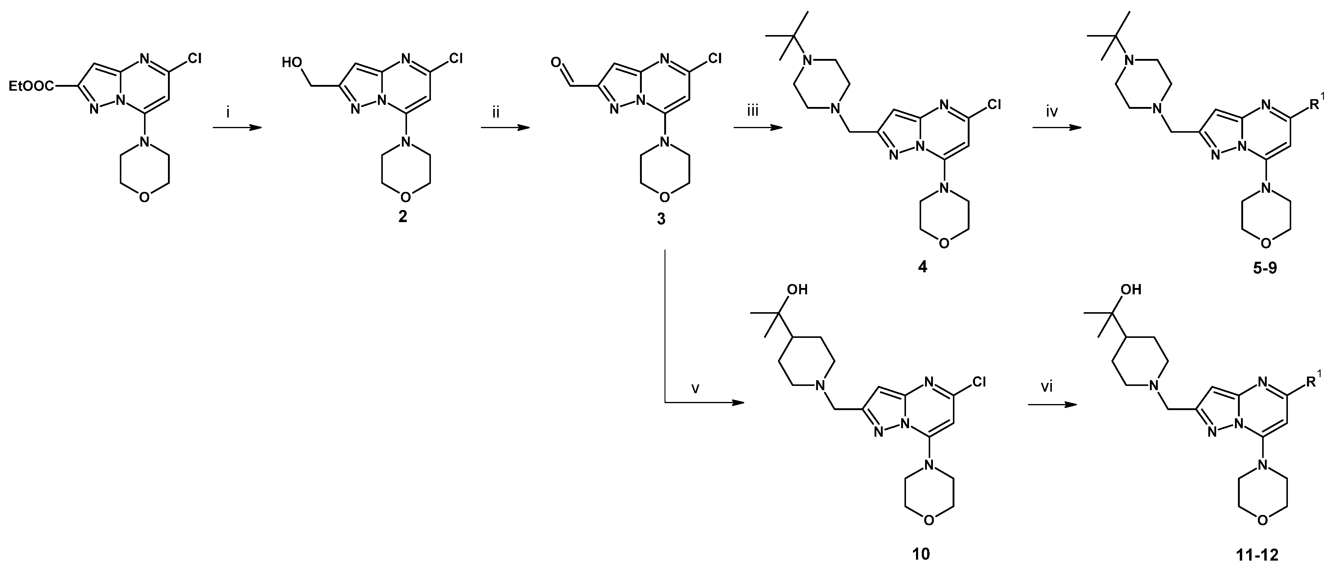 Pharmaceuticals 15 00927 sch001