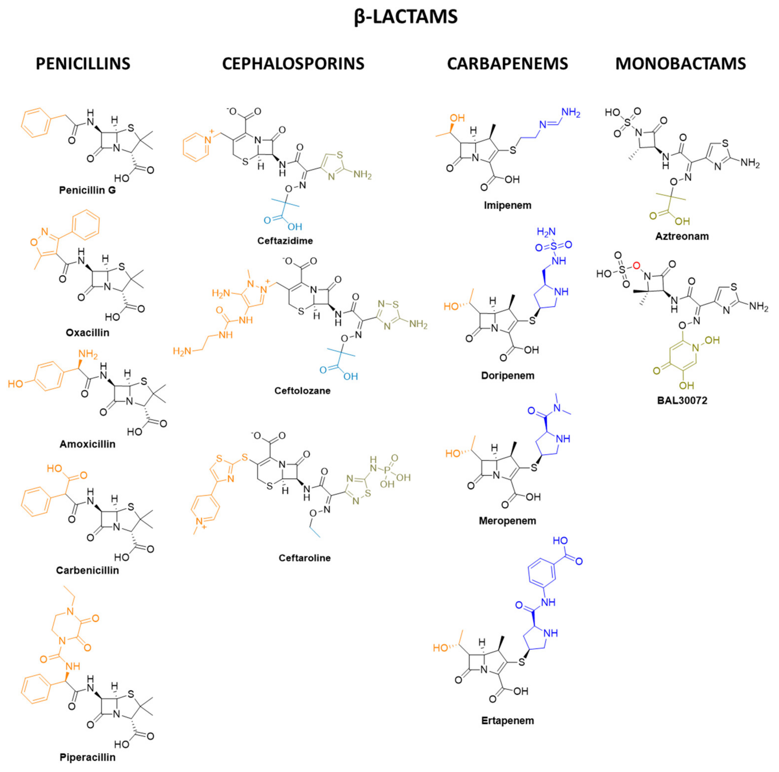 Pharmaceuticals 15 00942 g012 Pharmaceuticals 15 00942 g012