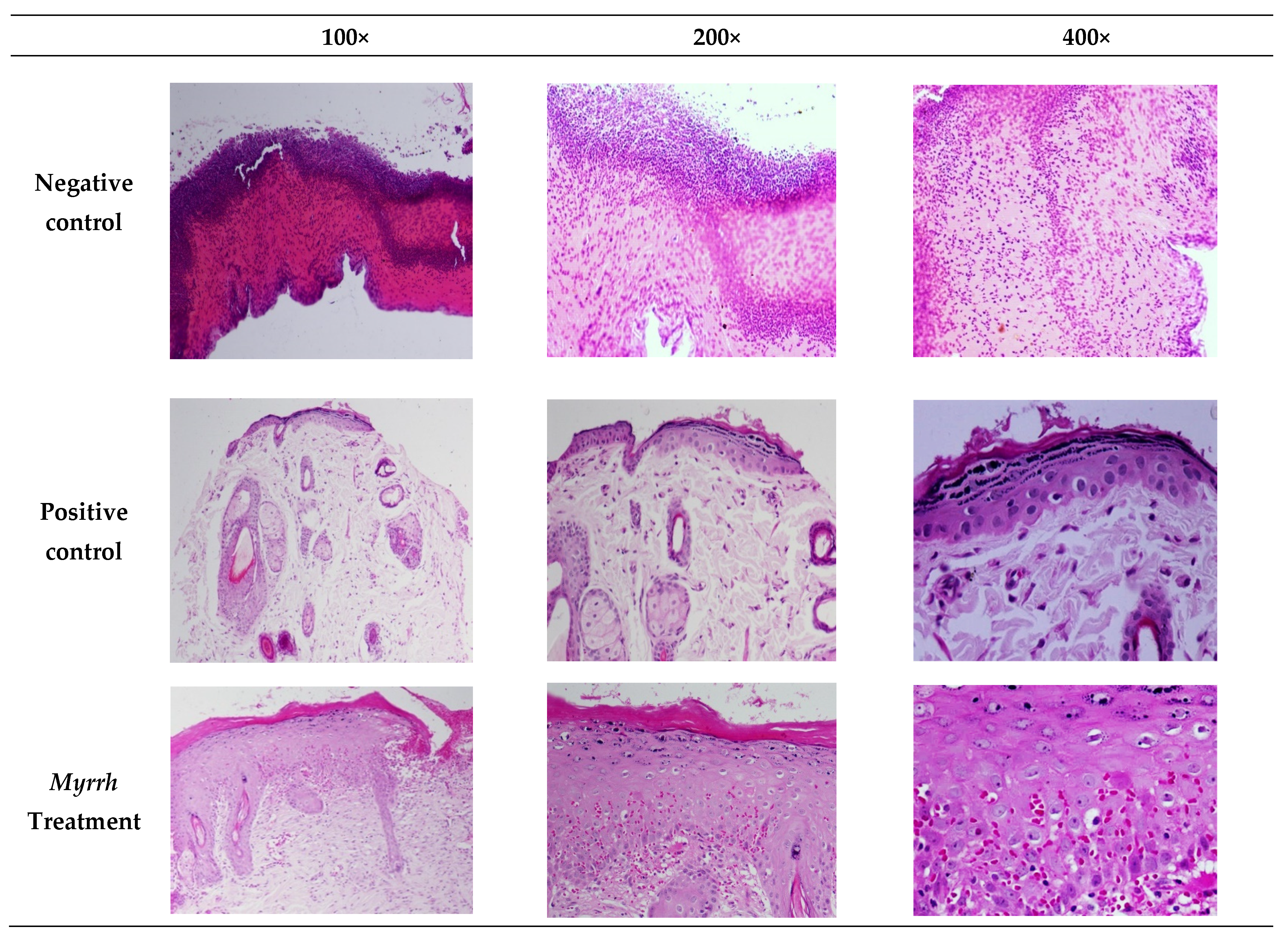 Pharmaceuticals 15 00944 g008