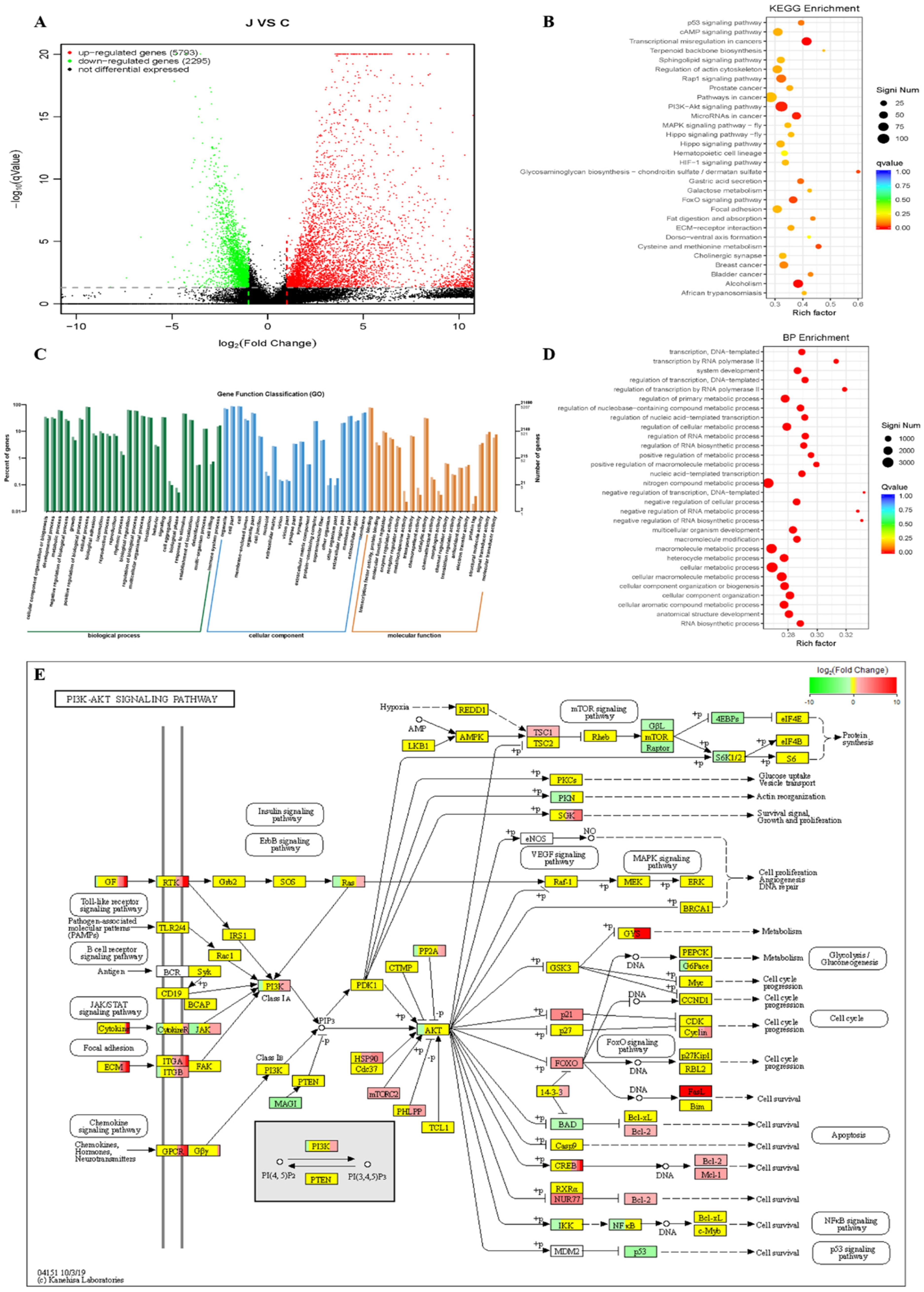 Pharmaceuticals 15 00950 g004