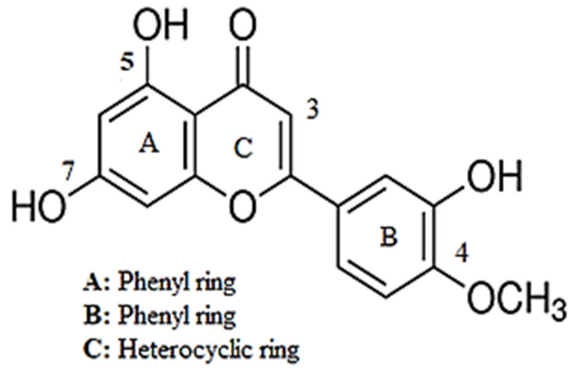 Investigation into the Antihypertensive Effects of Diosmetin