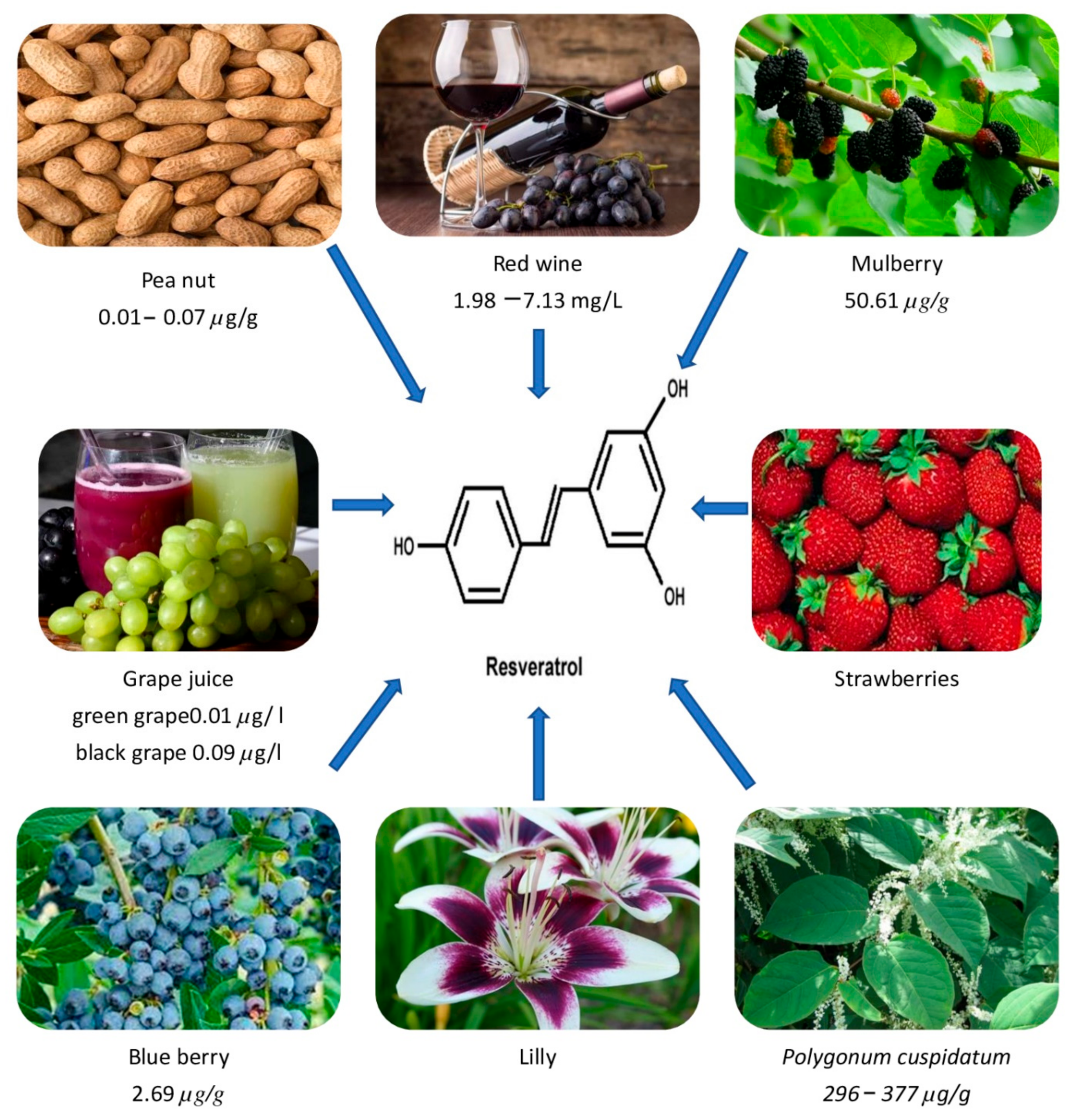 Pharmaceuticals 15 00957 g001 550