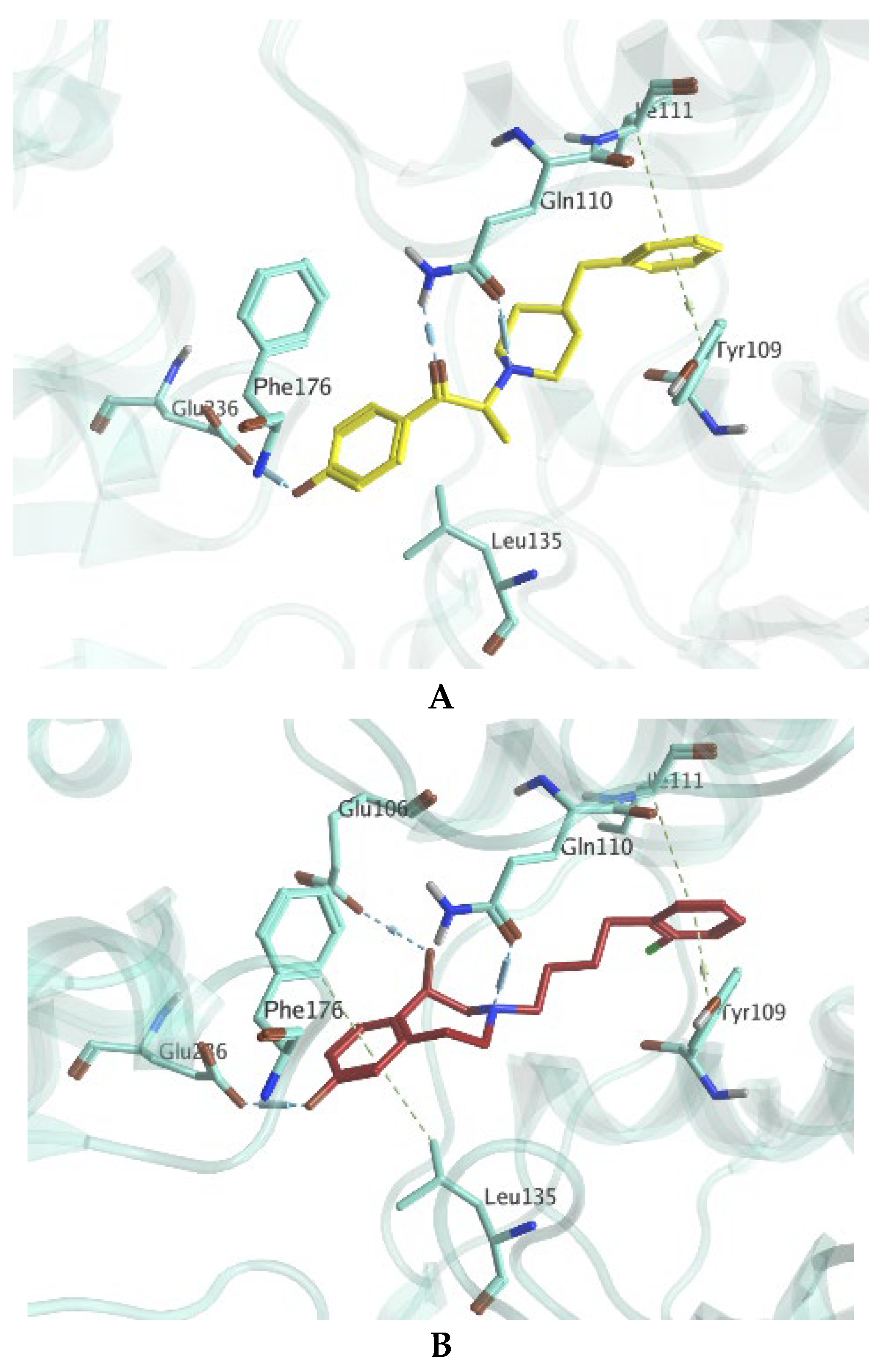 Development and Validation of [3H]OF-NB1 for Preclinical