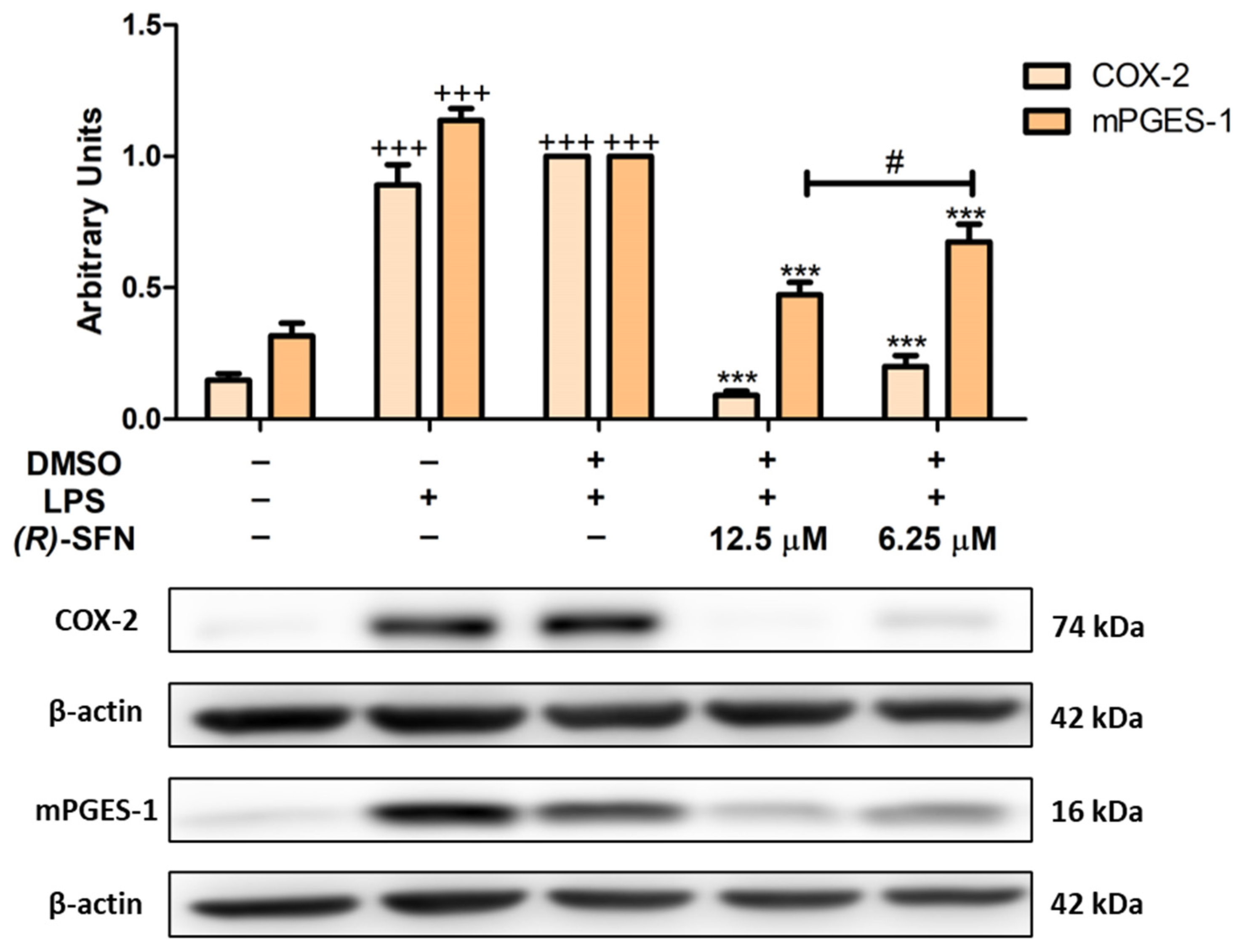 Pharmaceuticals 15 00966 g005