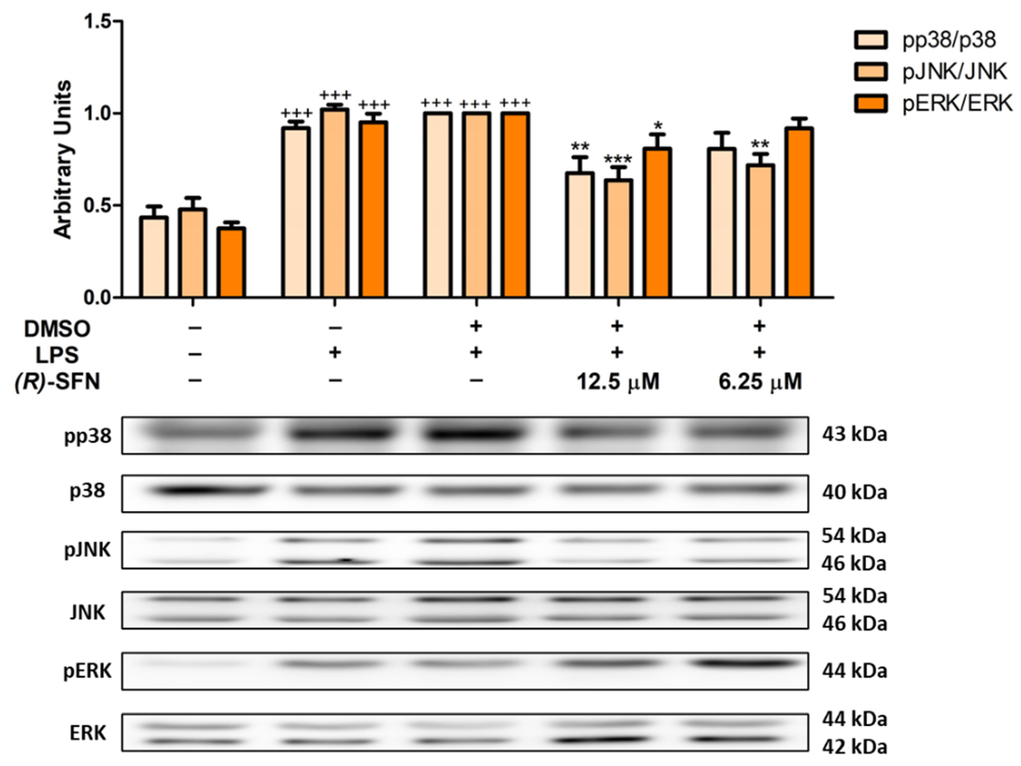Pharmaceuticals 15 00966 g007