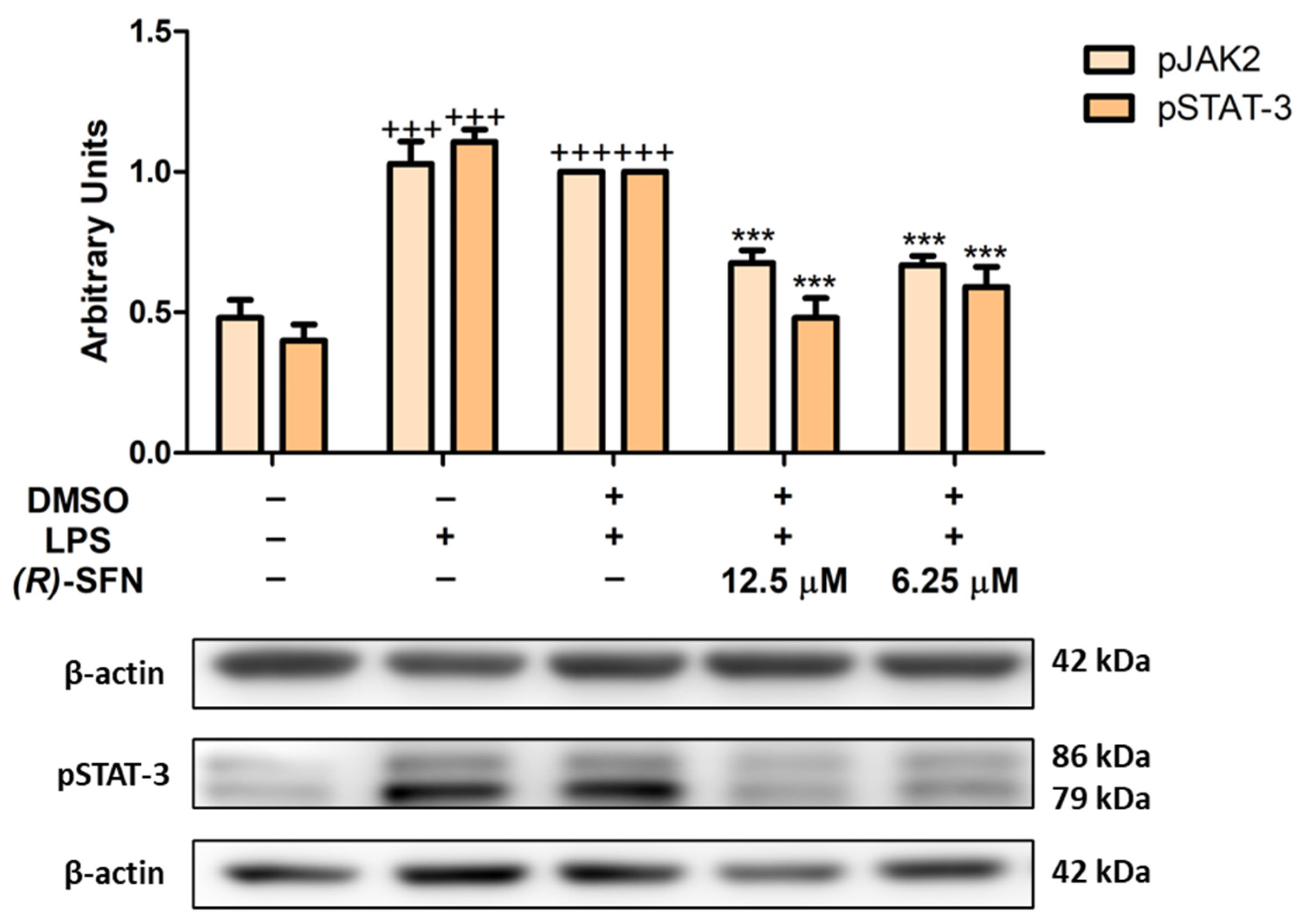 Pharmaceuticals 15 00966 g008