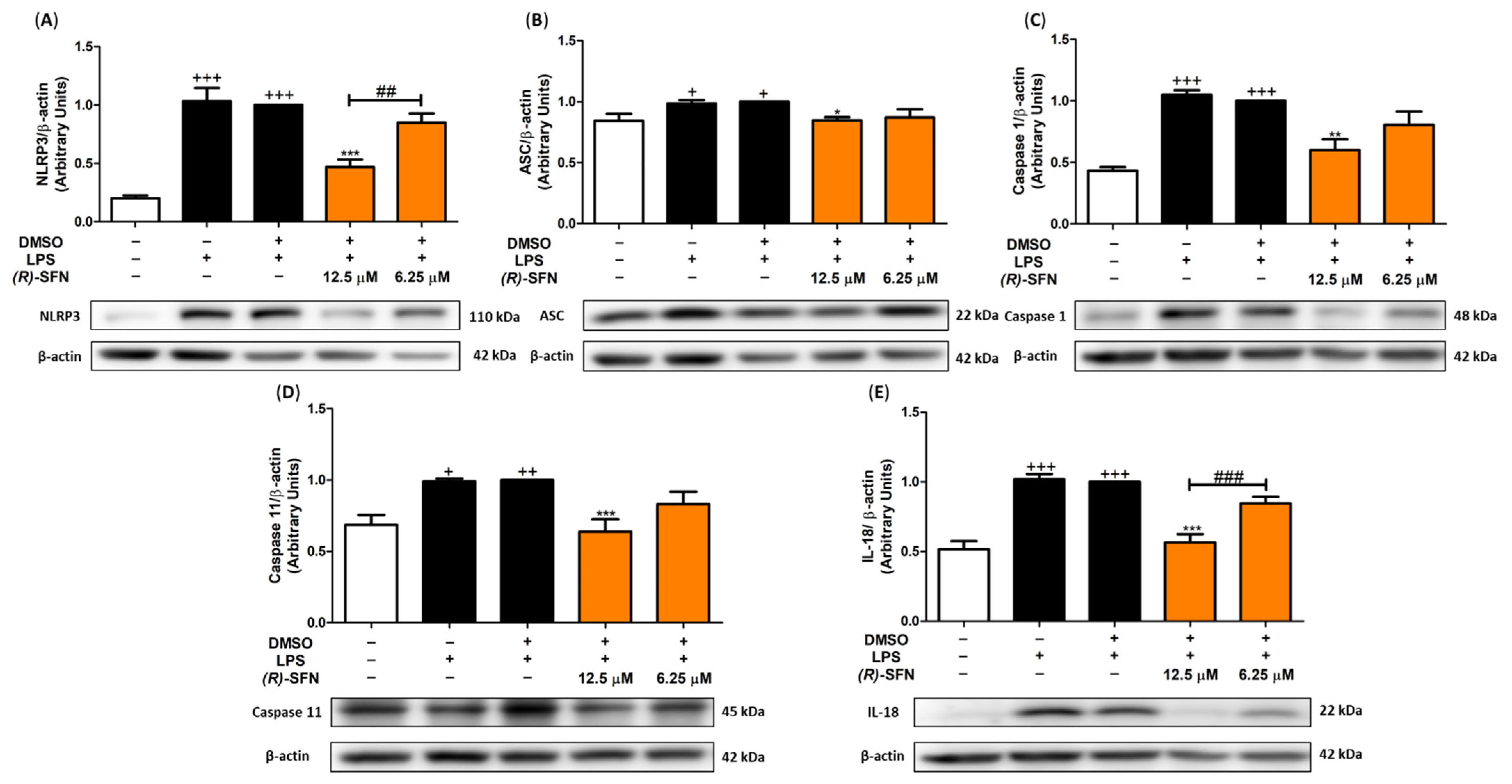 Pharmaceuticals 15 00966 g009