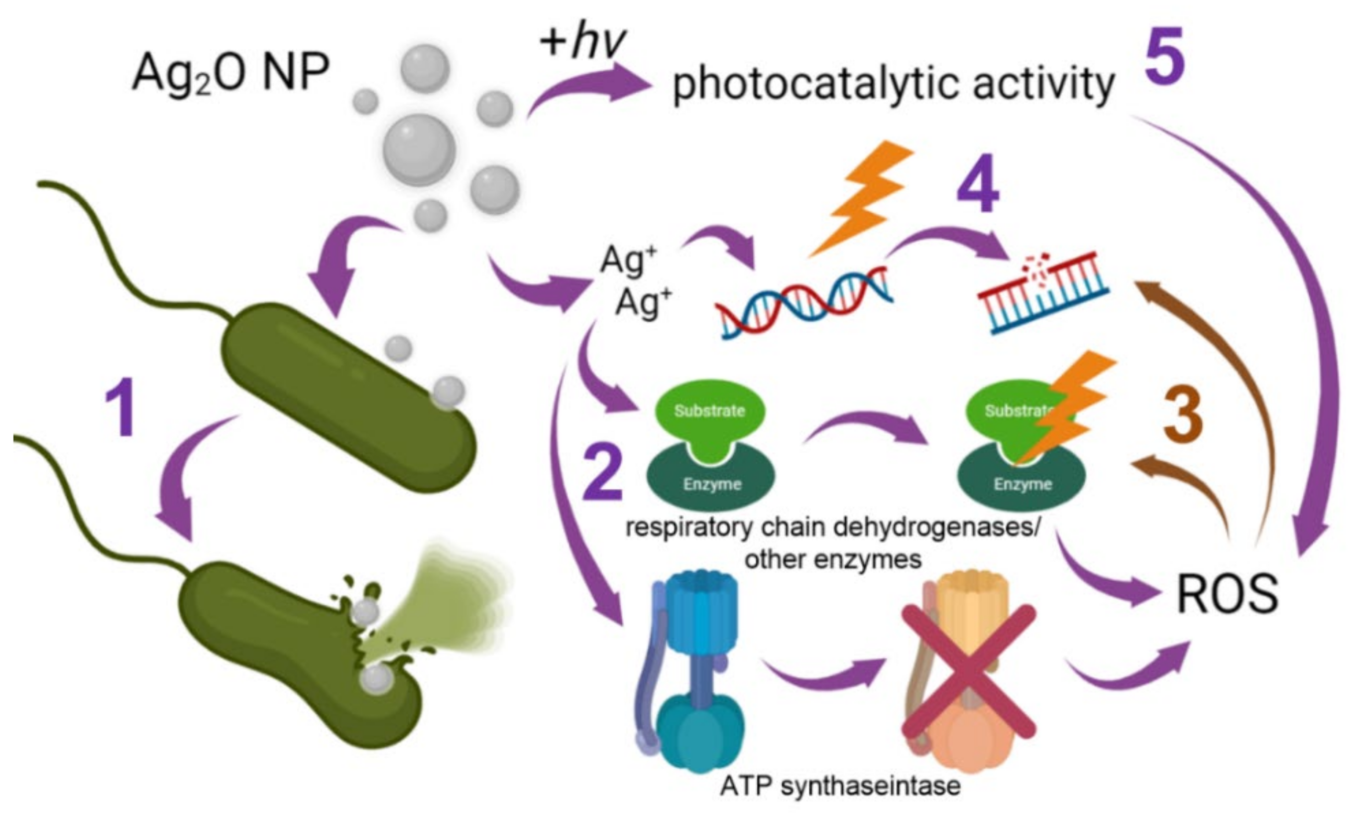 Pharmaceuticals 15 00968 g002