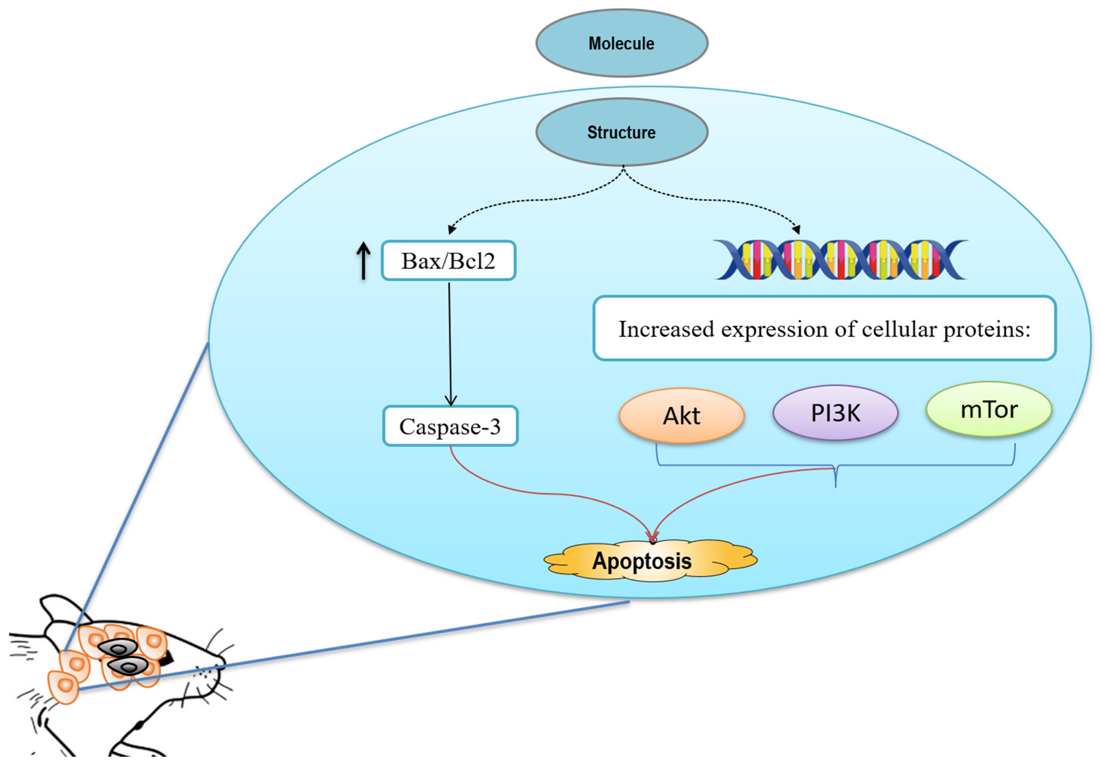 Pharmaceuticals 15 00973 g003 550