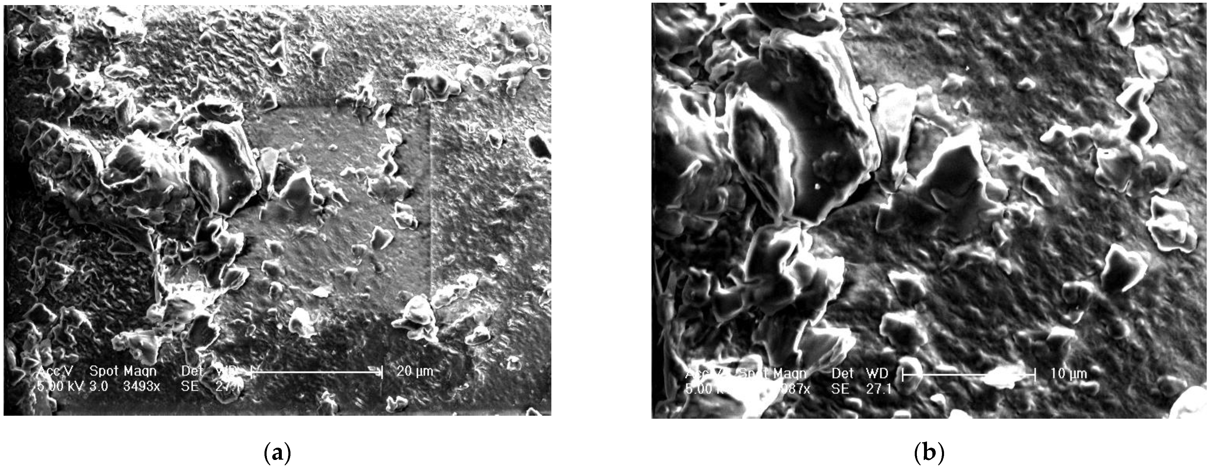 Pharmaceuticals 15 00981 g006