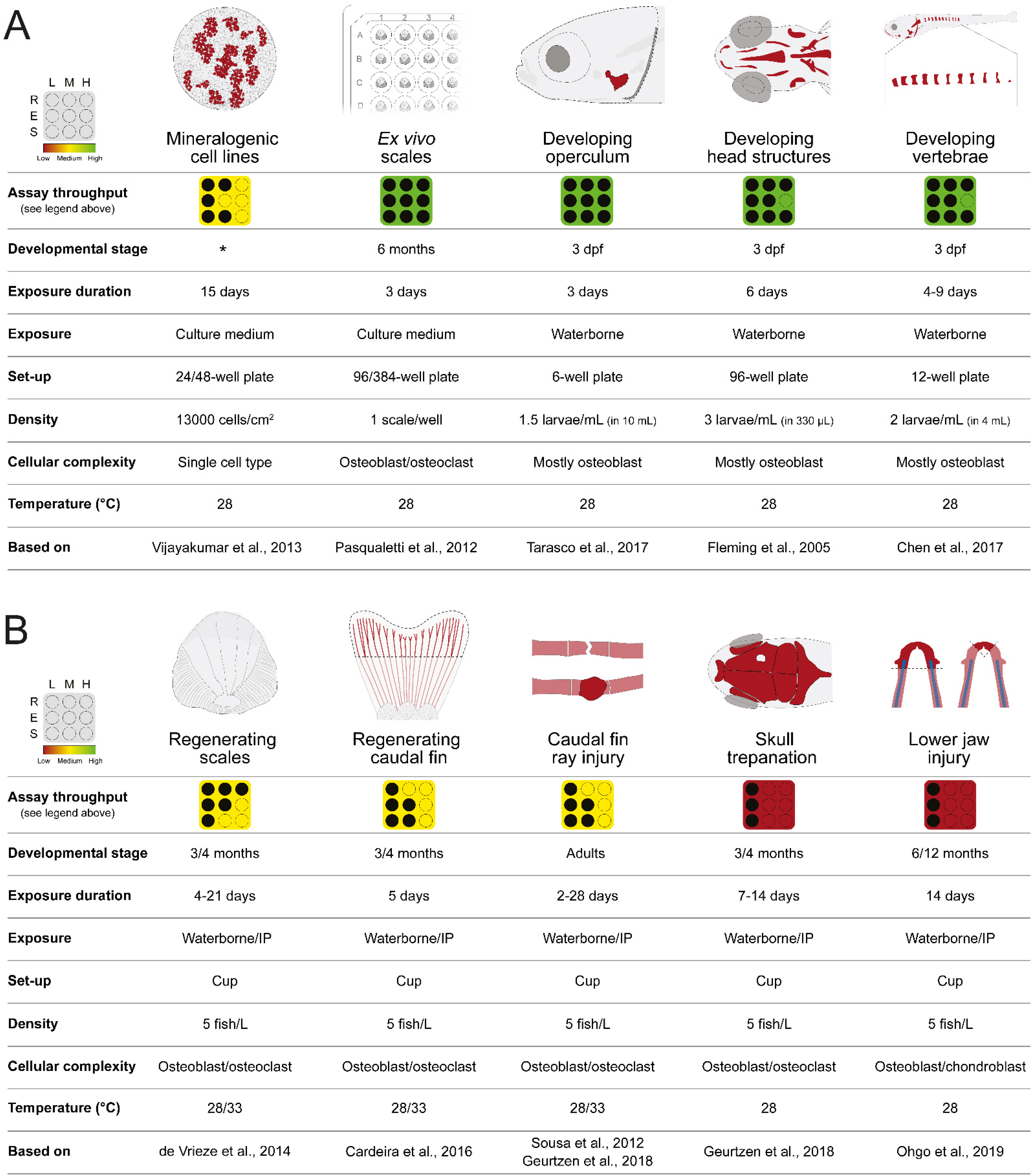 Pharmaceuticals 15 00983 g001 Pharmaceuticals 15 00983 g001
