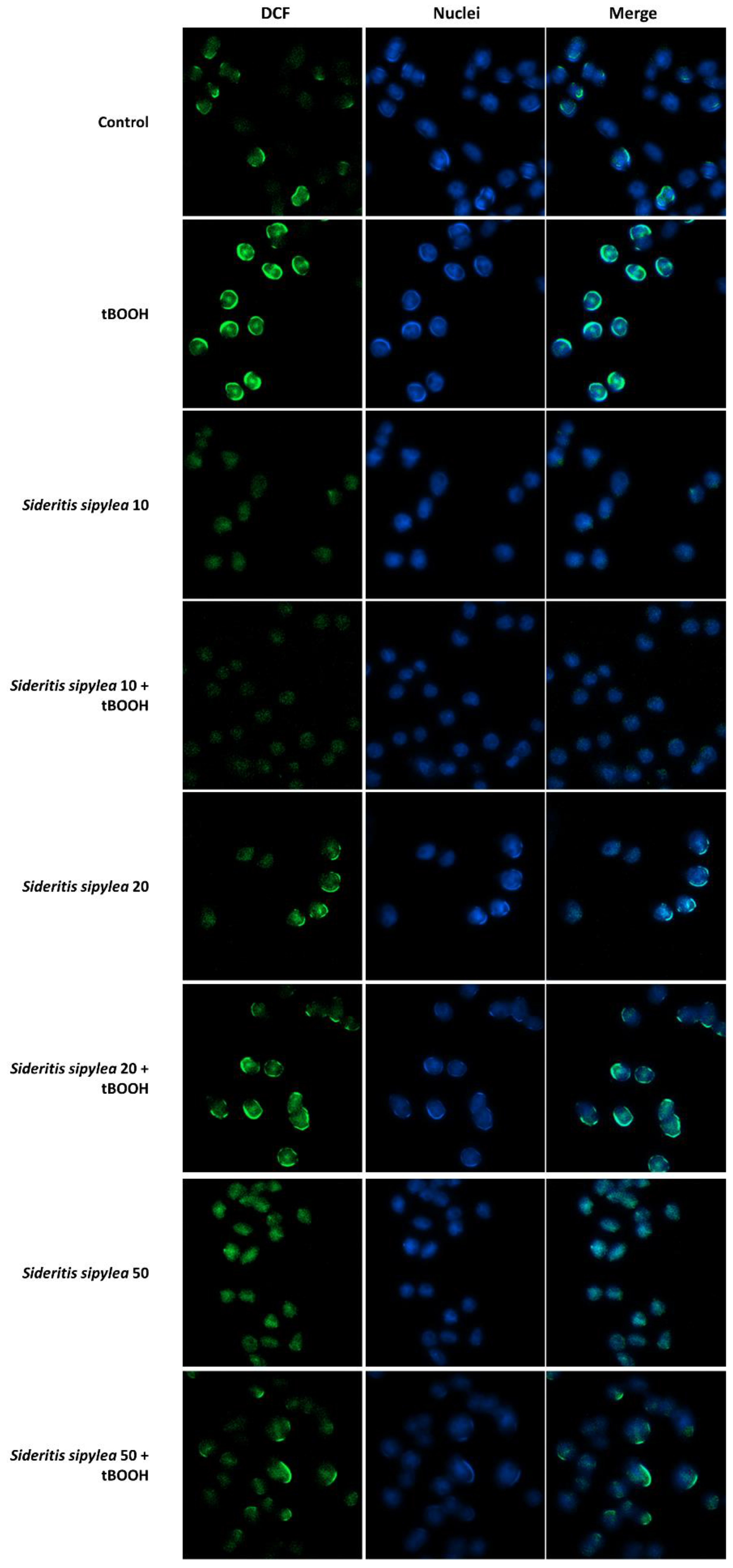 Pharmaceuticals 15 00987 g008