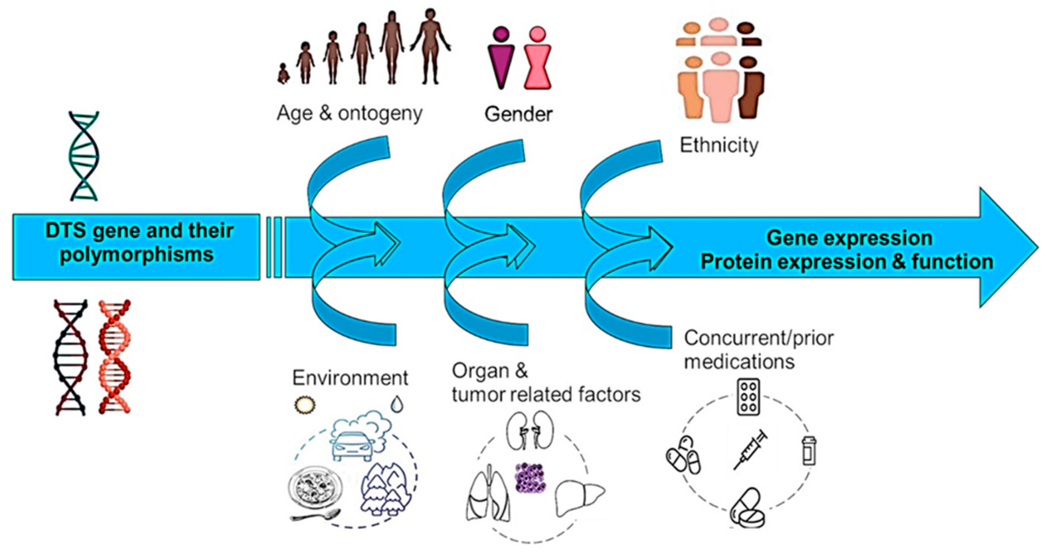 Pharmaceuticals 15 00990 g001