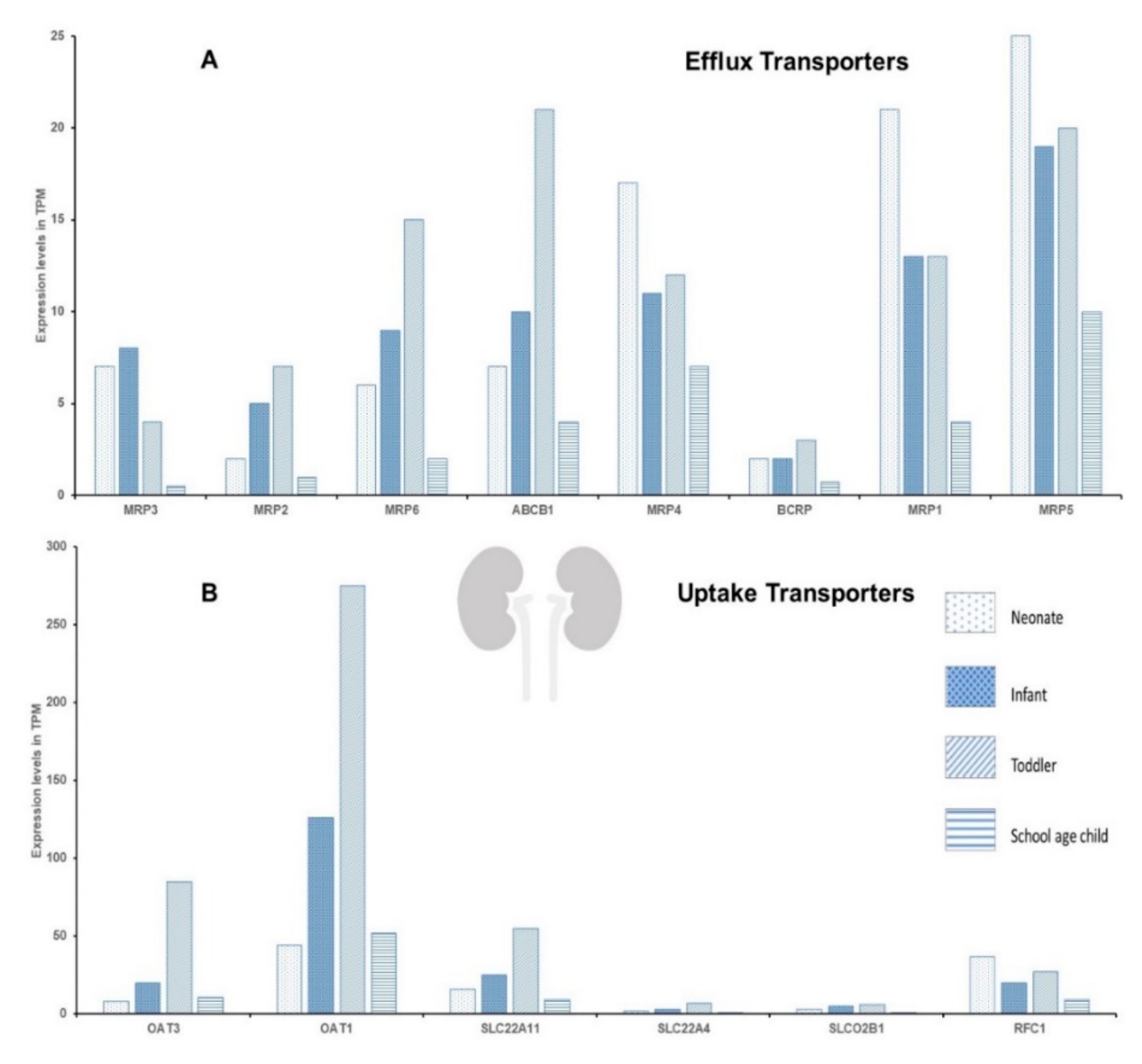 Pharmaceuticals 15 00990 g004