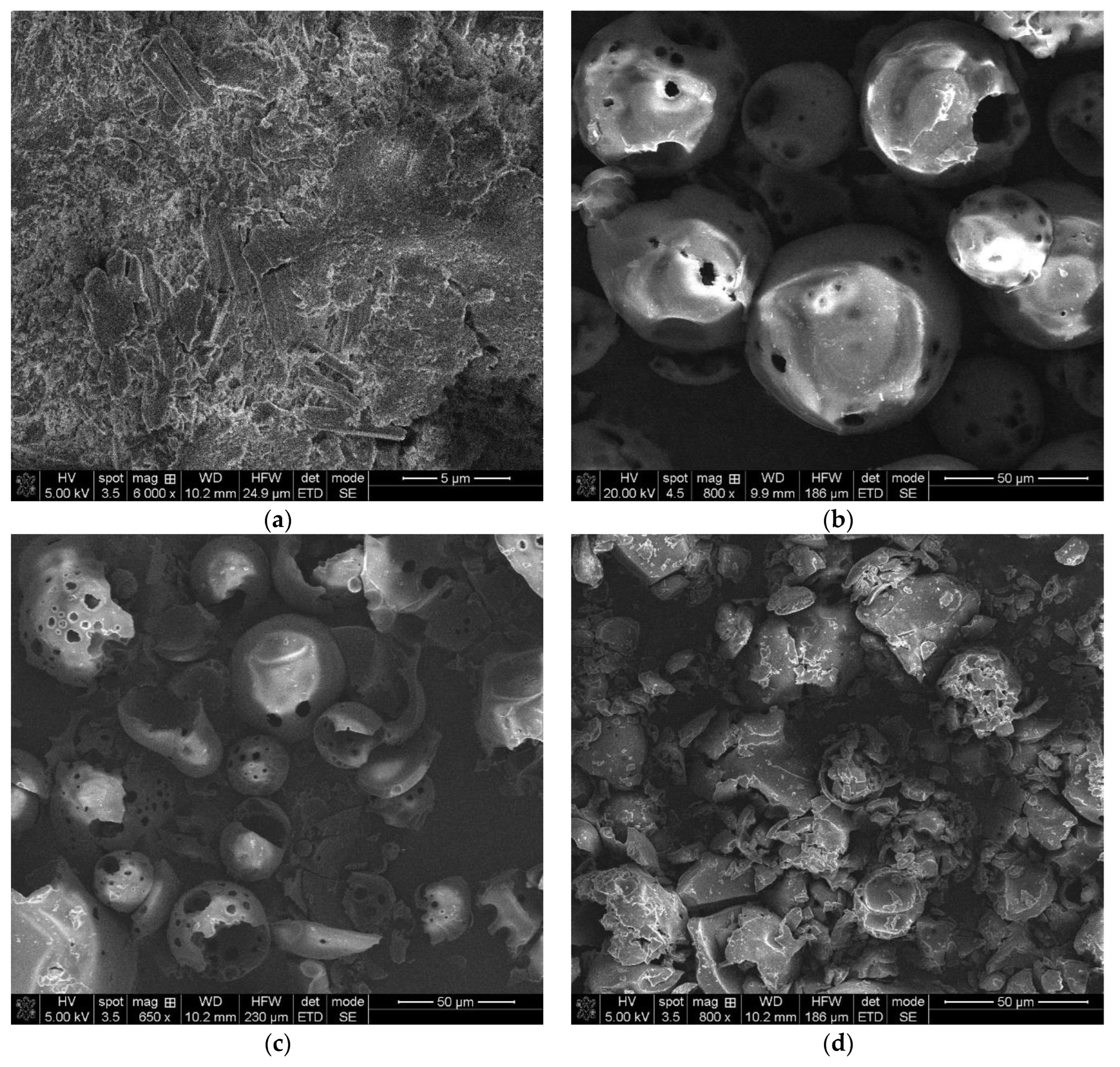 Pharmaceuticals 15 00993 g004a