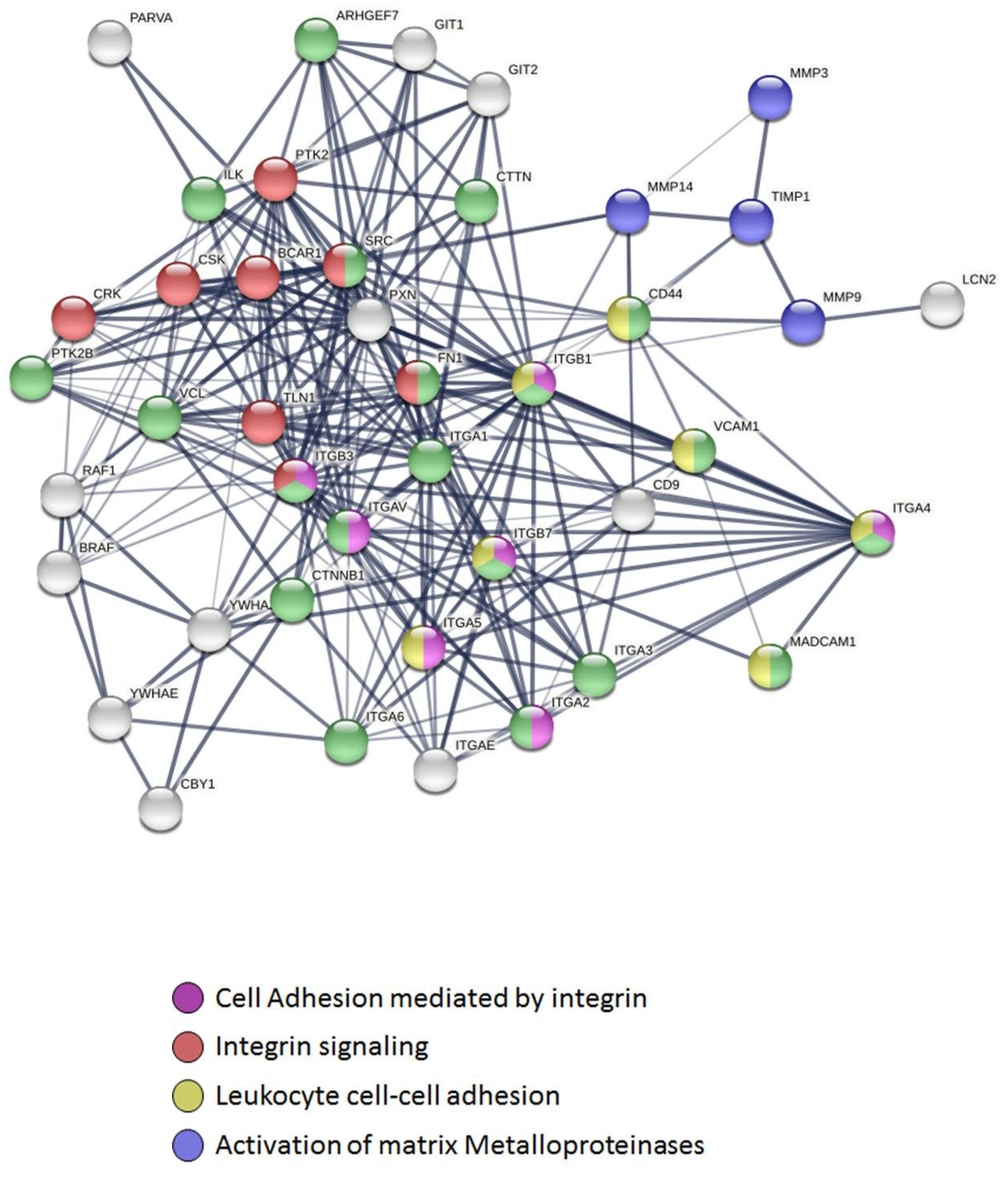 Pharmaceuticals 15 00994 g004 550
