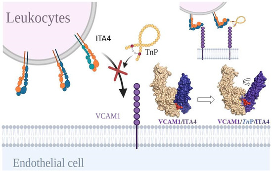 Shedding Light on the Drug–Target Prediction of the Anti 