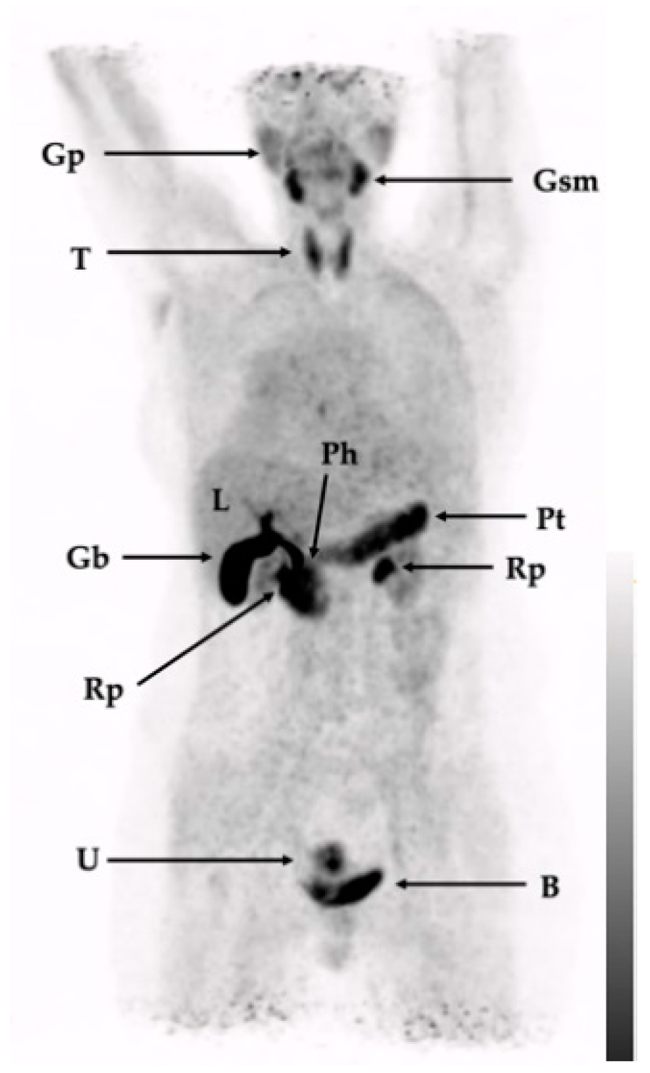 Pharmaceuticals 15 01000 g003