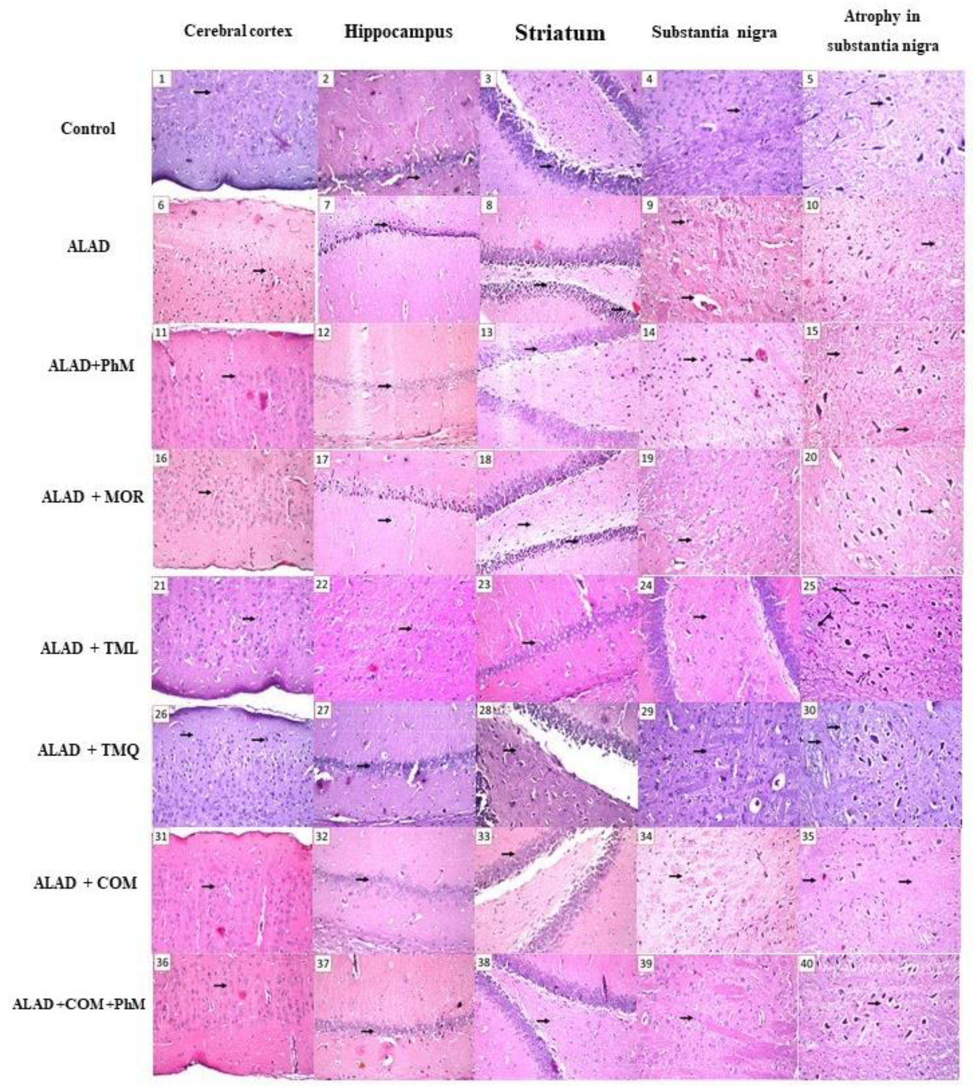 Pharmaceuticals 15 01008 g002