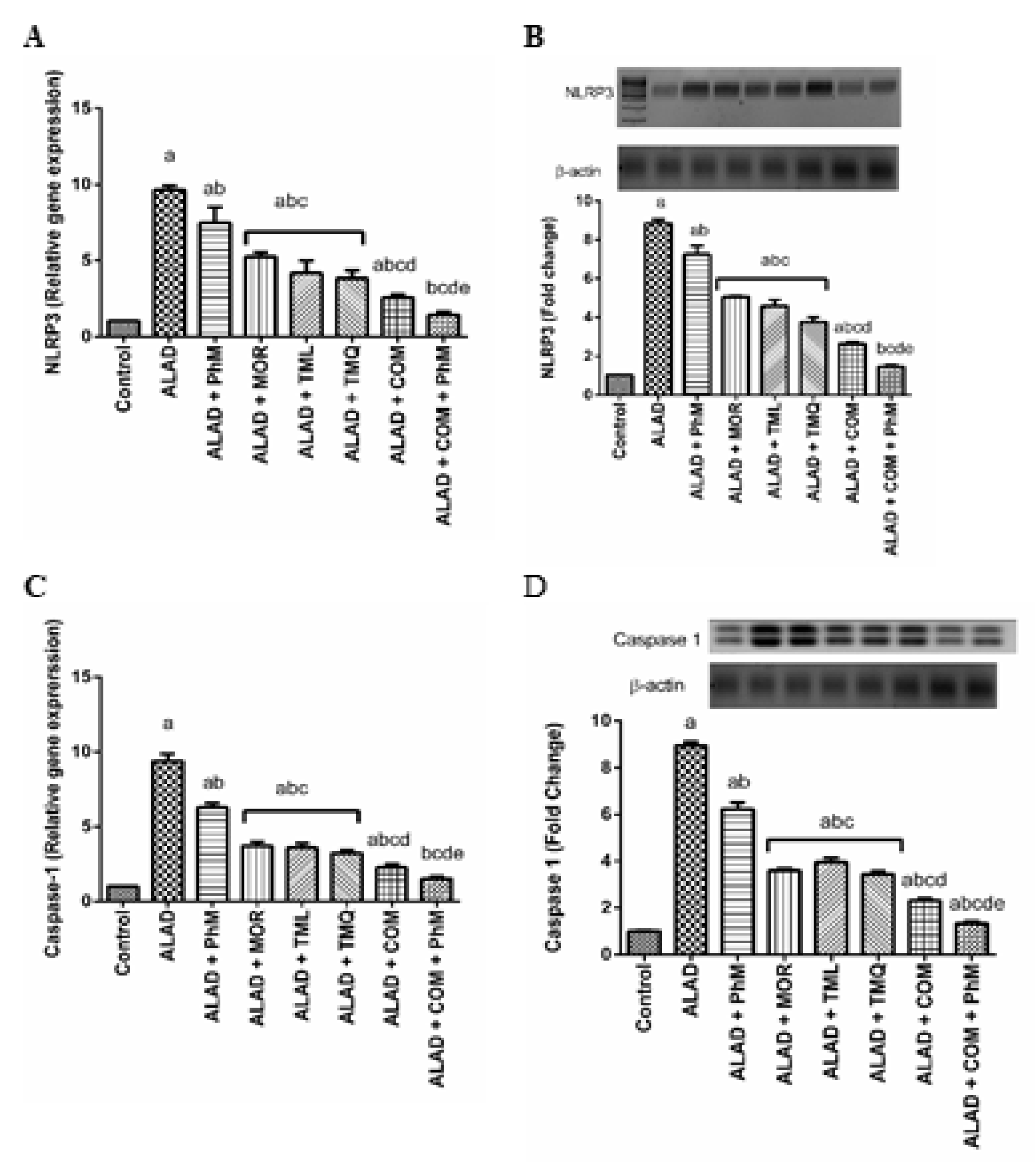 Pharmaceuticals 15 01008 g009