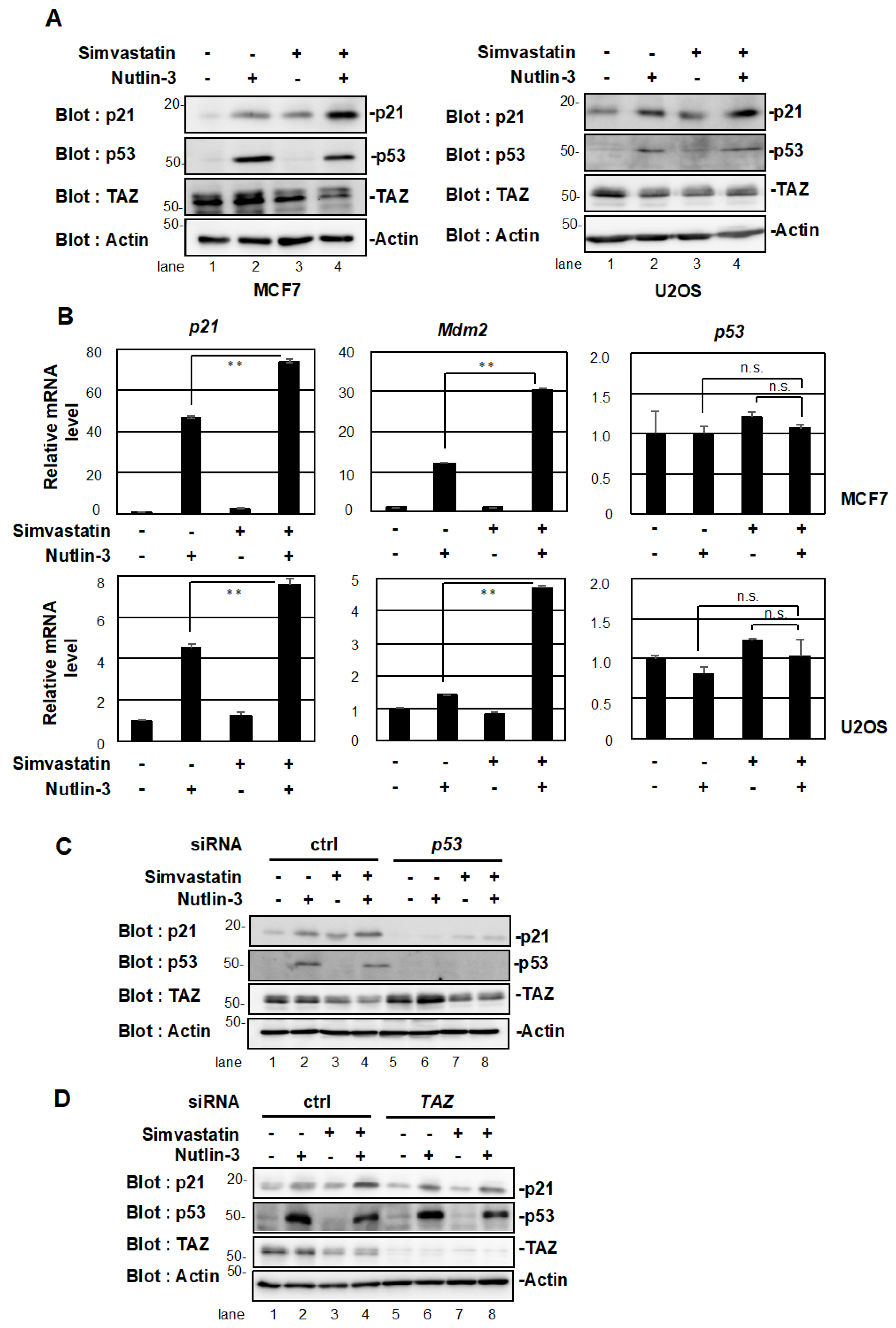 Pharmaceuticals 15 01015 g003 550