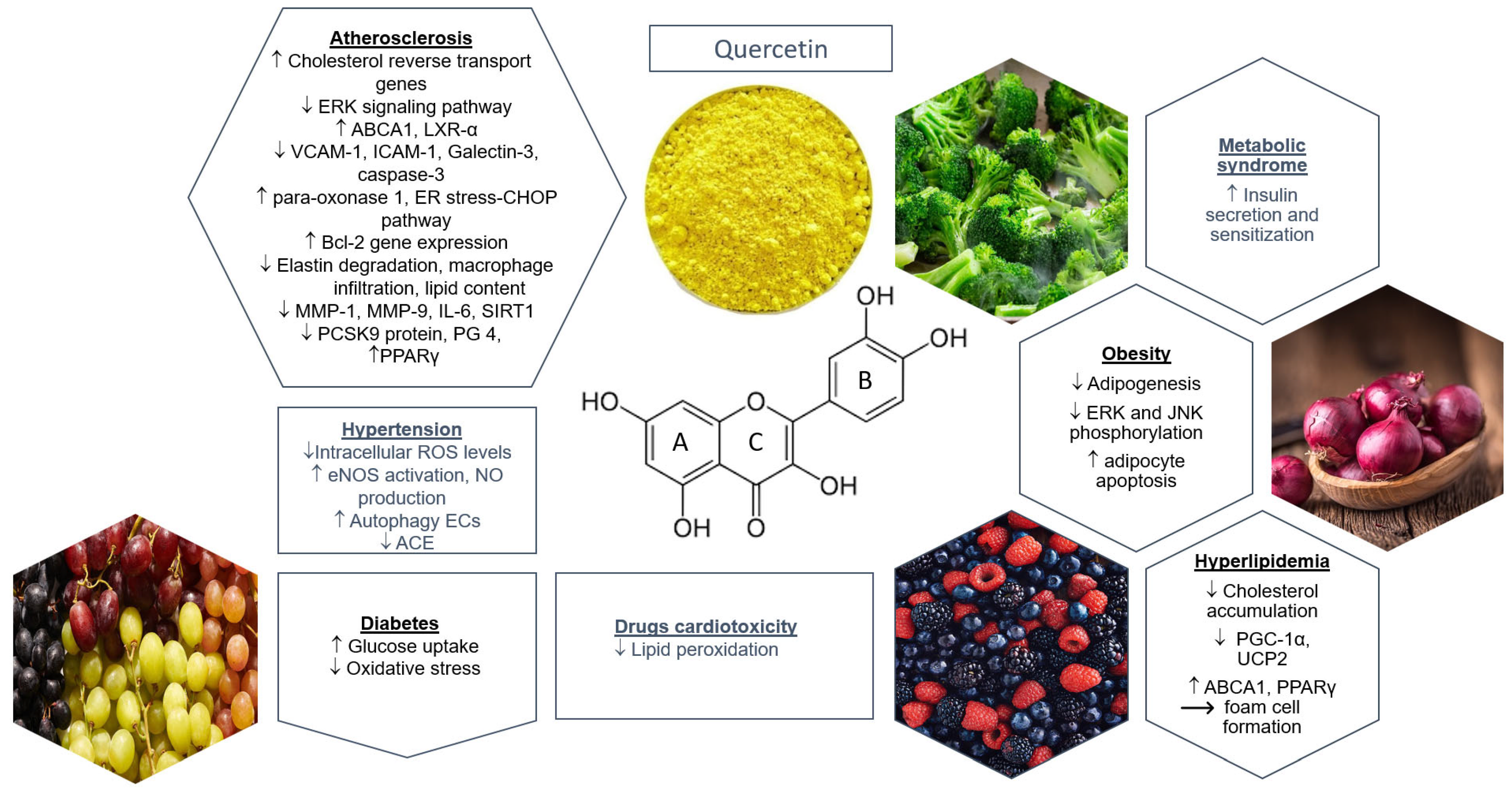 orac values of top antioxidant mushroom - Yahoo Image Search Results