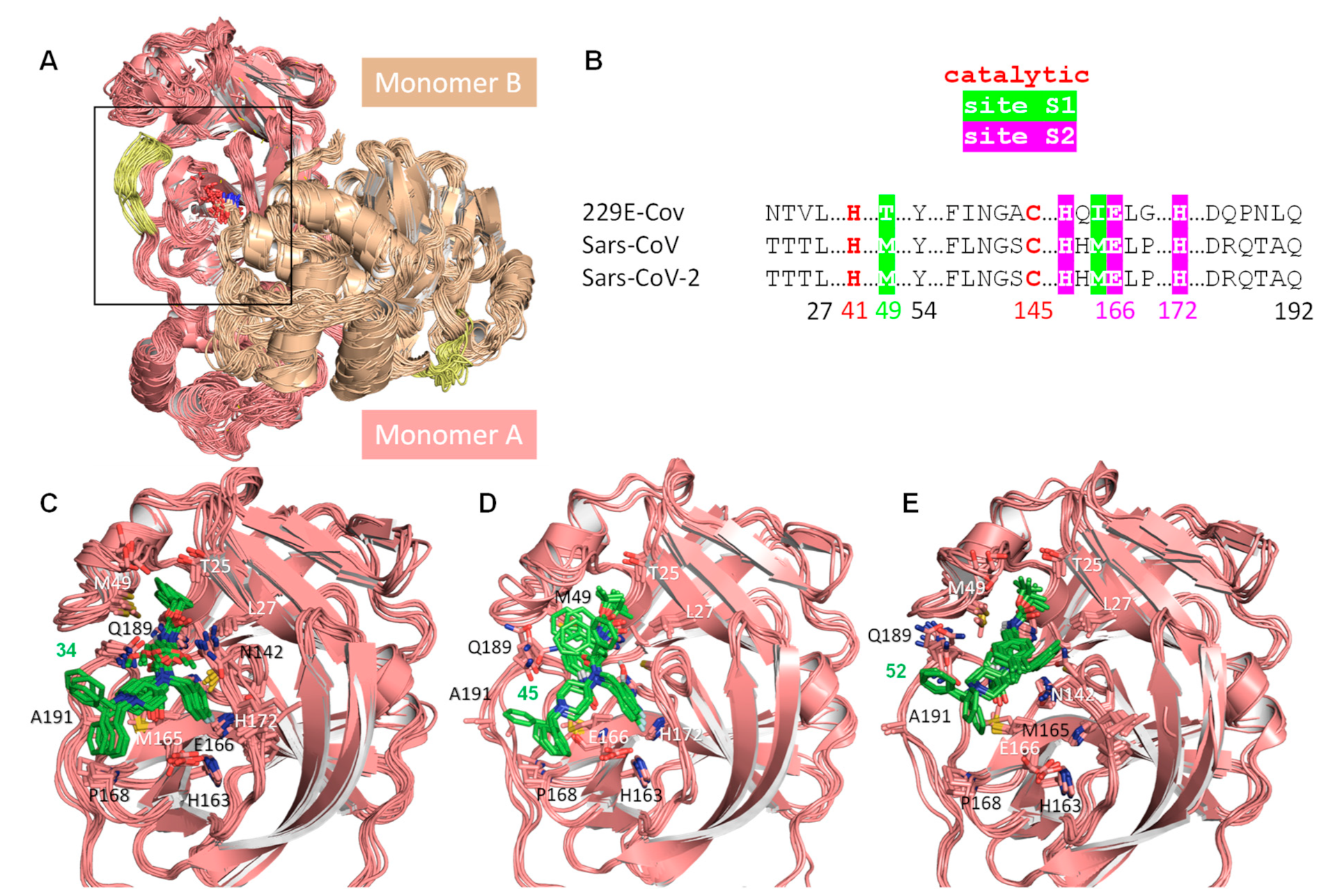 Pharmaceuticals 15 01021 g004