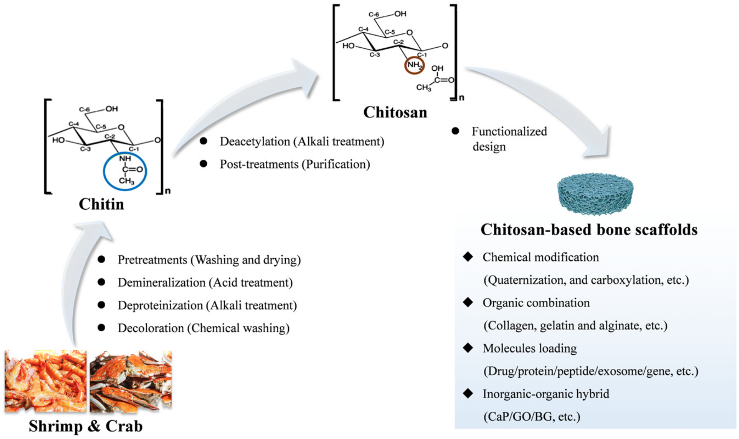 Pharmaceuticals 15 01023 g003