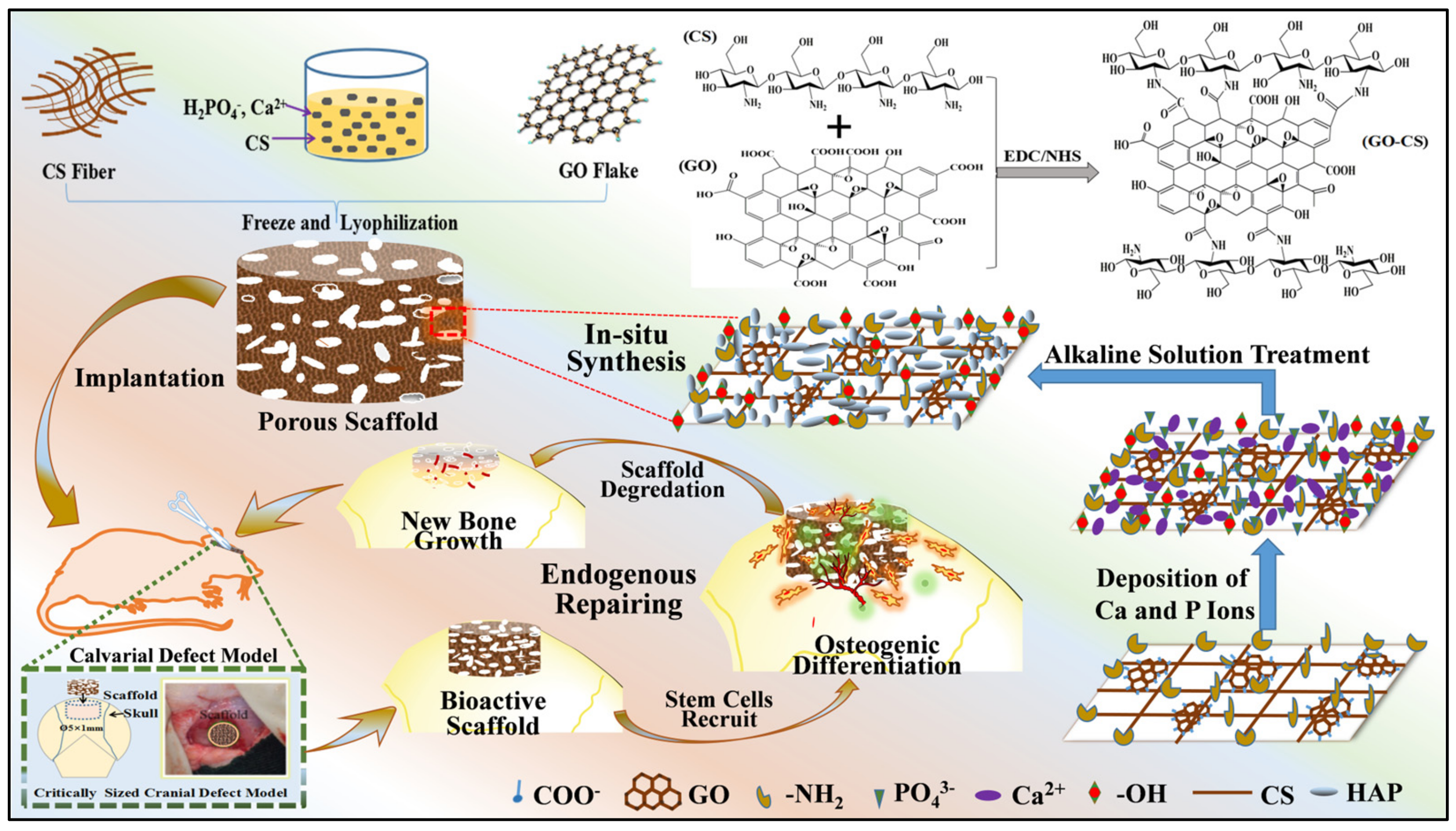 Pharmaceuticals 15 01023 g006